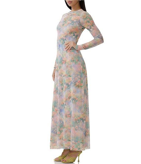 AFRM Paola Floral Print Crew Neck Long Sleeve Ankle Mesh Maxi Dress Product Image