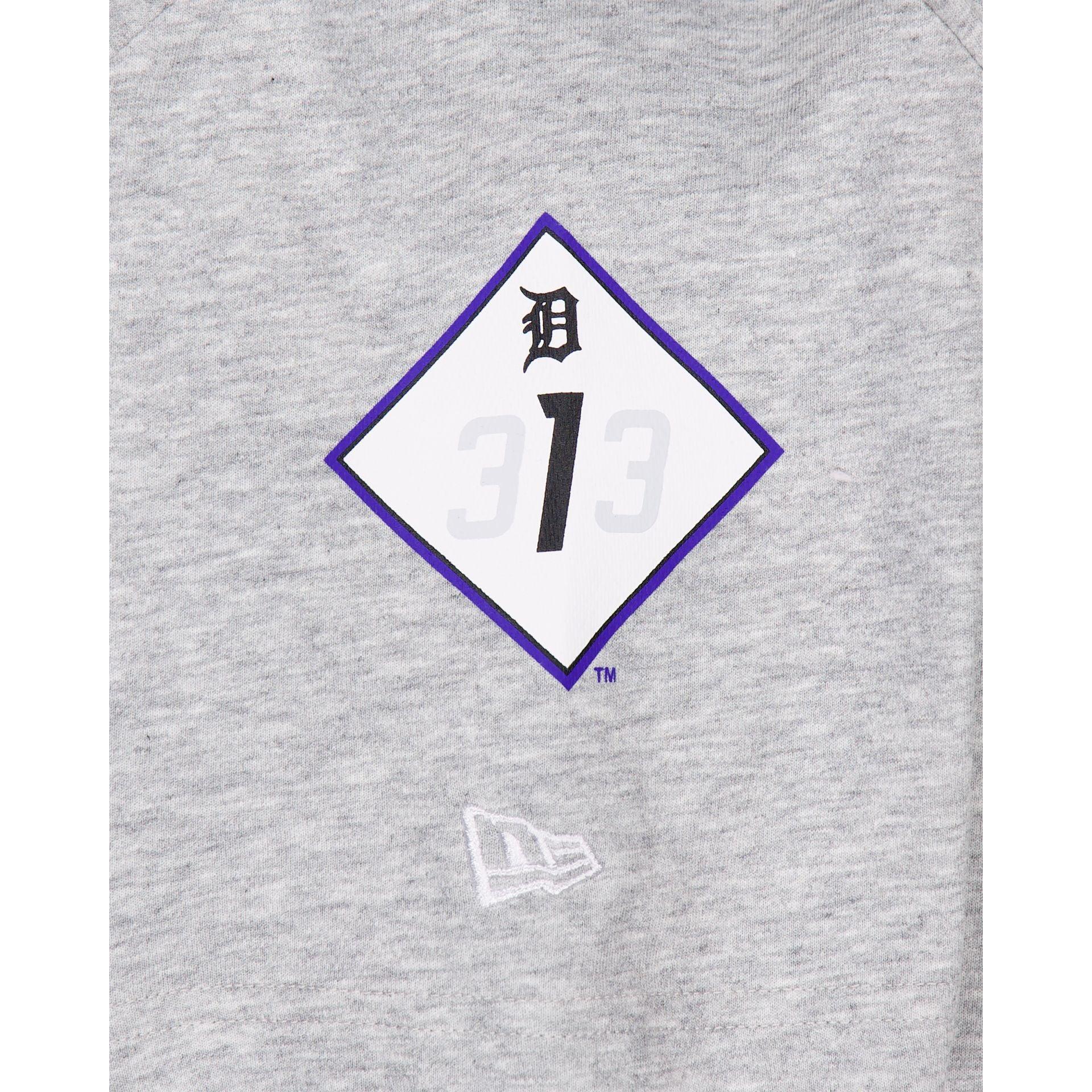 Detroit Tigers City Connect Gray T-Shirt Male Product Image