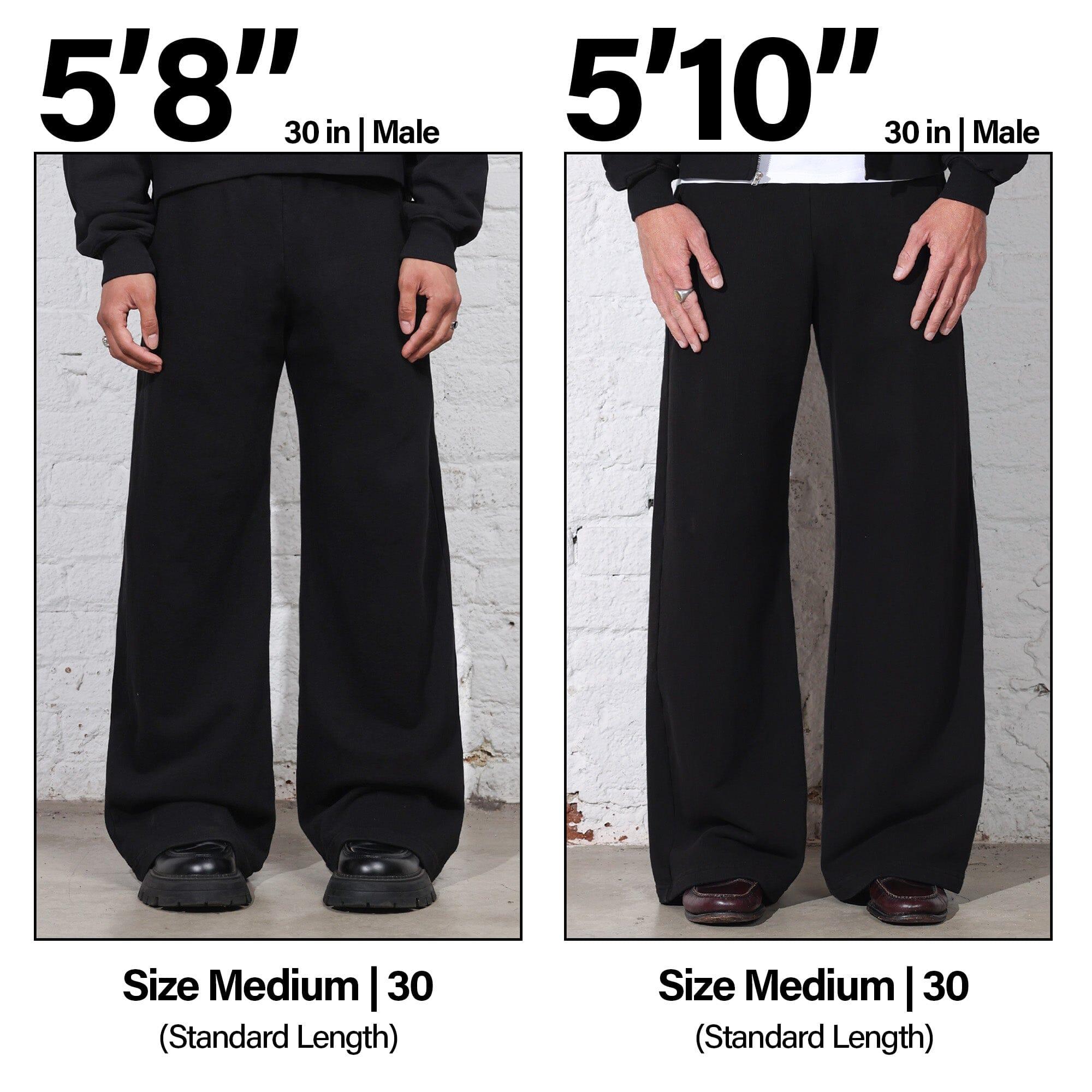 Lafayette Studio Pants (Sweats) Product Image