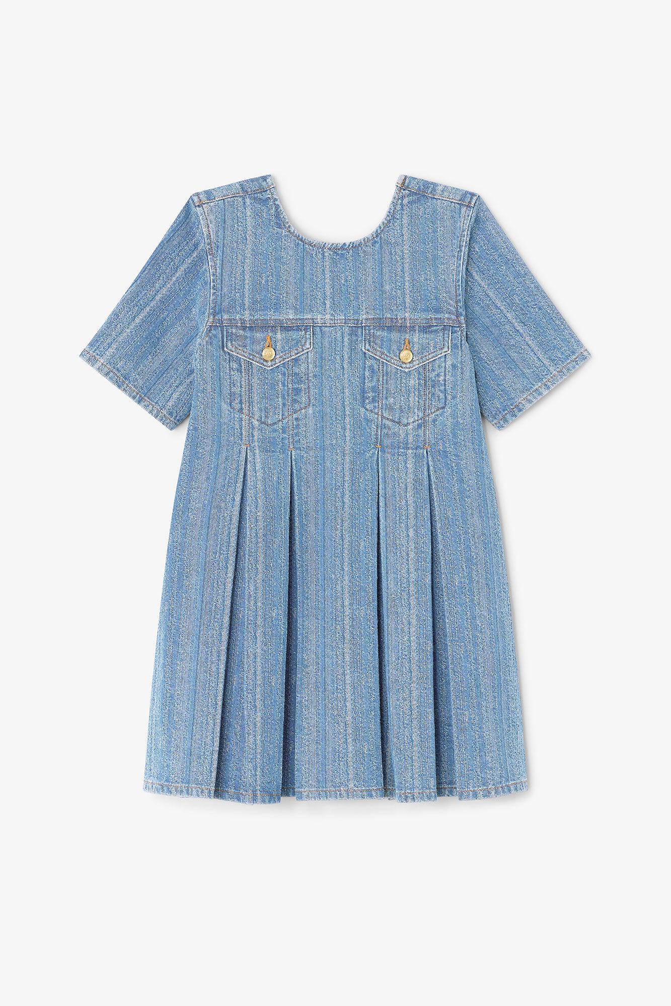 Striped Denim Pleated Dress Product Image