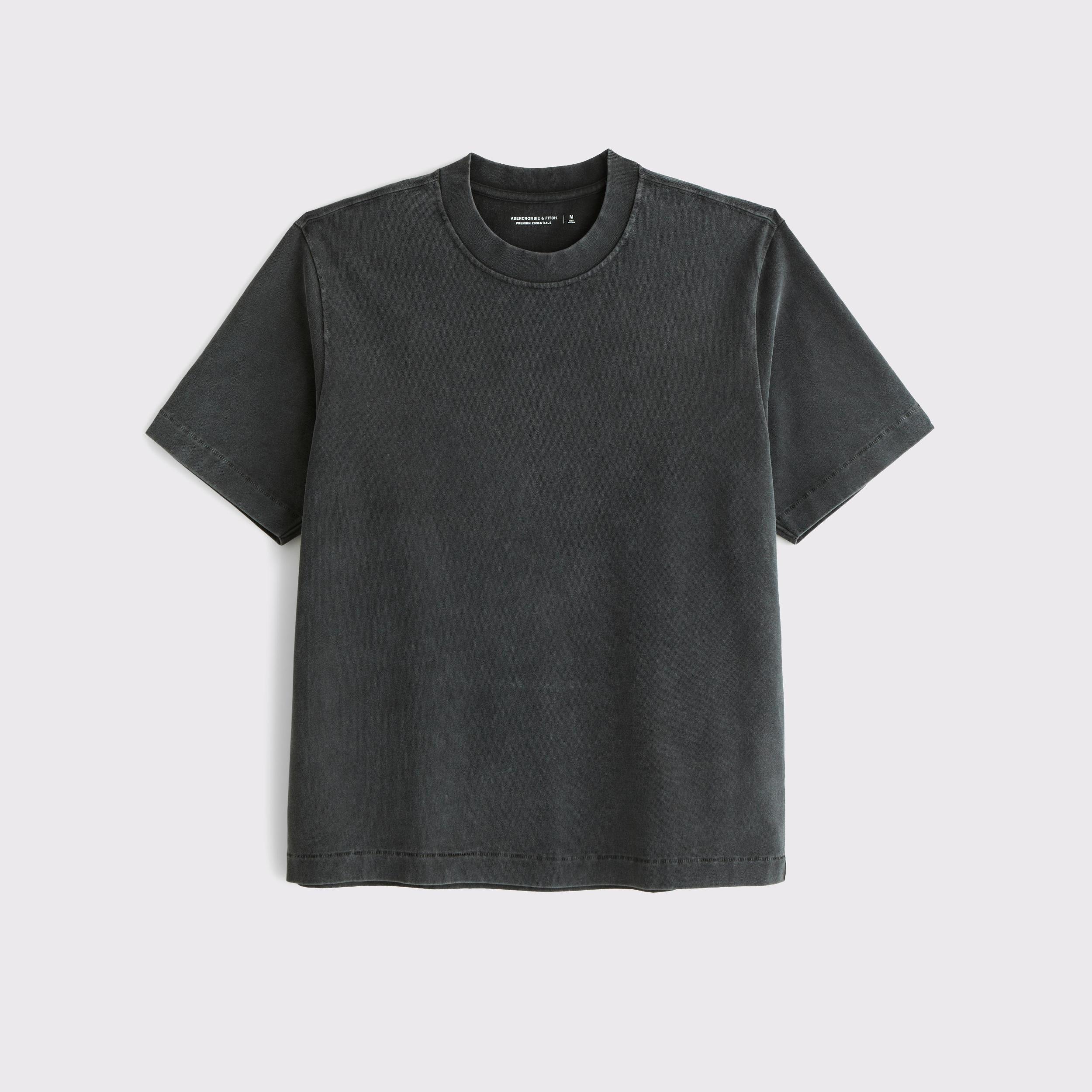 Premium Heavyweight 2.0 Tee Product Image