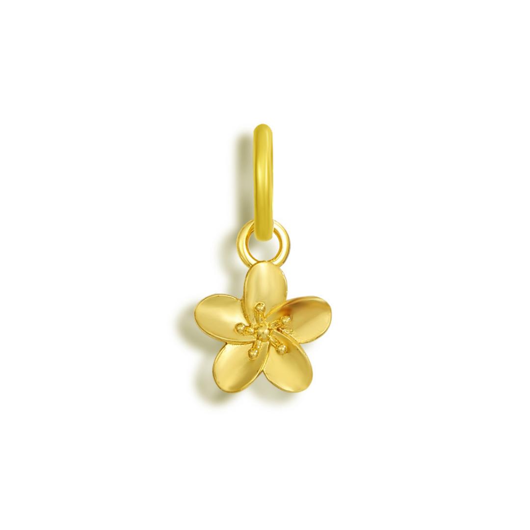 Golden Hour Bikini Charm Product Image