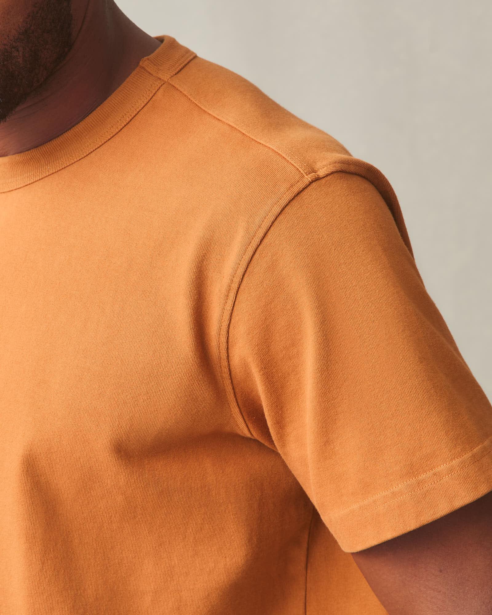 Men's Everest Tee - Canyon Clay Product Image