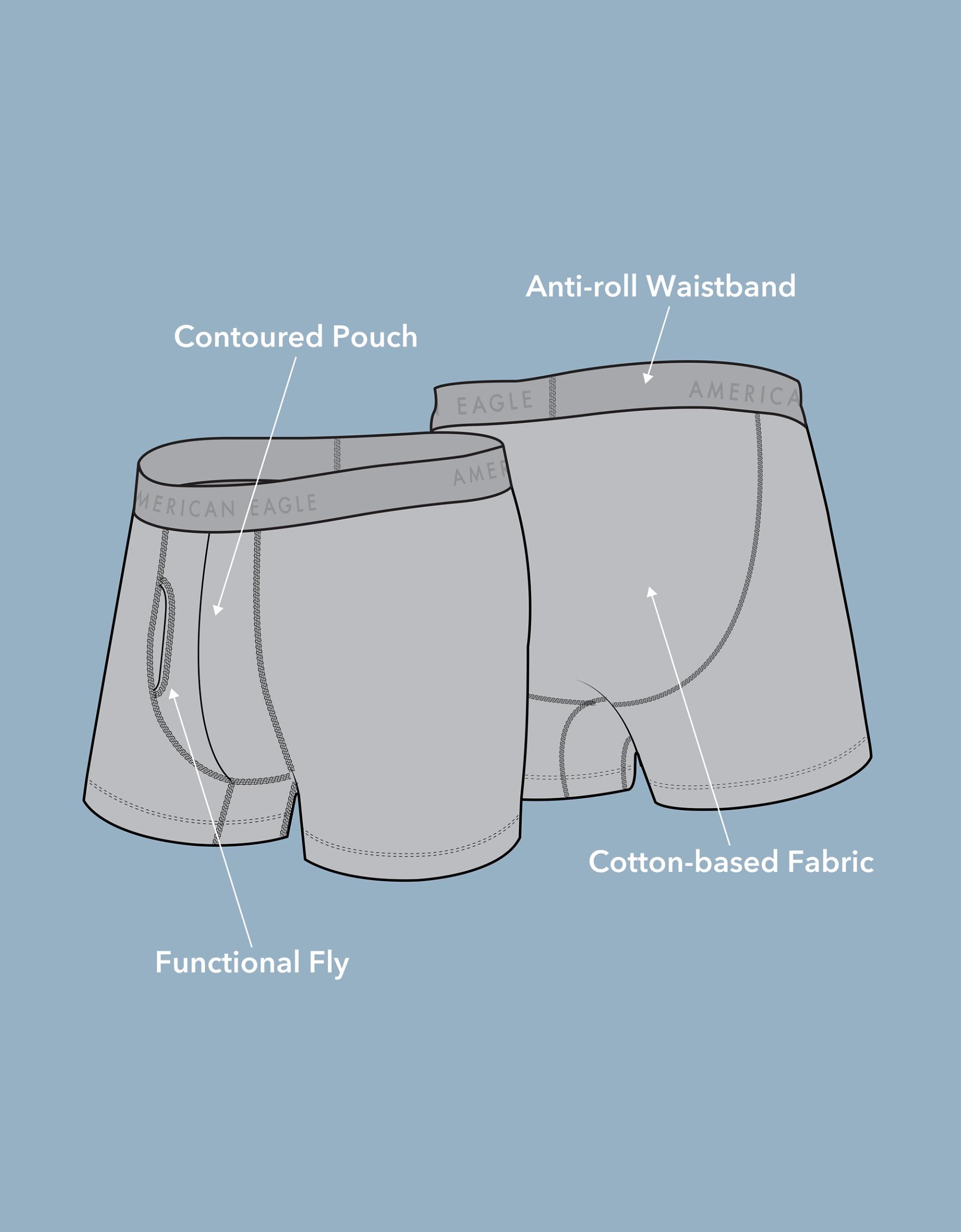 AEO Men's 4.5" Classic Boxer Brief Product Image