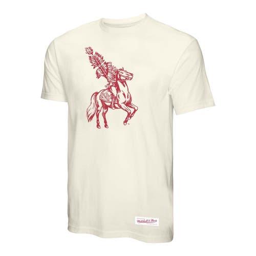 Men's Mitchell & Ness Cream Florida State Seminoles Vintage Tone T-Shirt,  Product Image