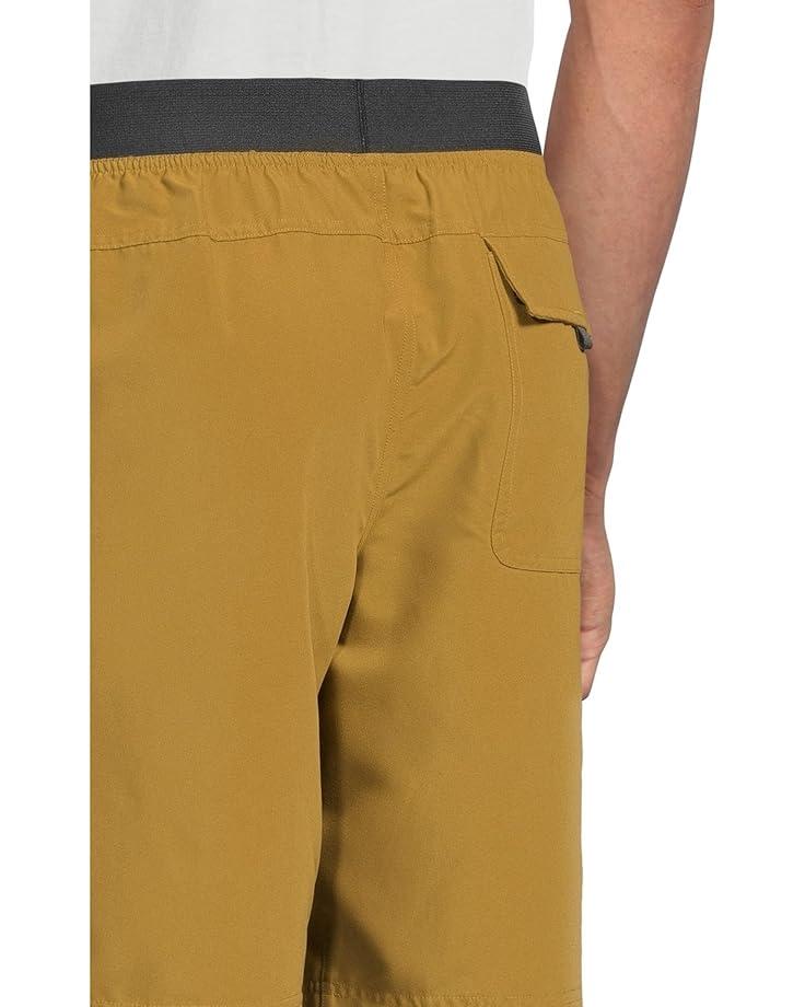 Palisades Ripstop Cargo Shorts Product Image