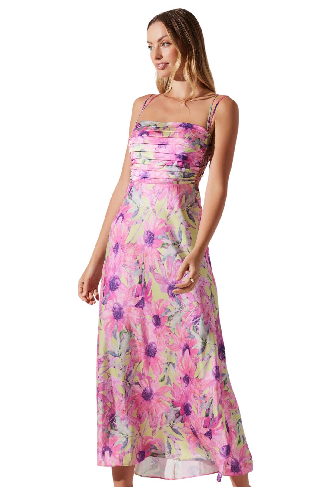 Antlia Dress Product Image