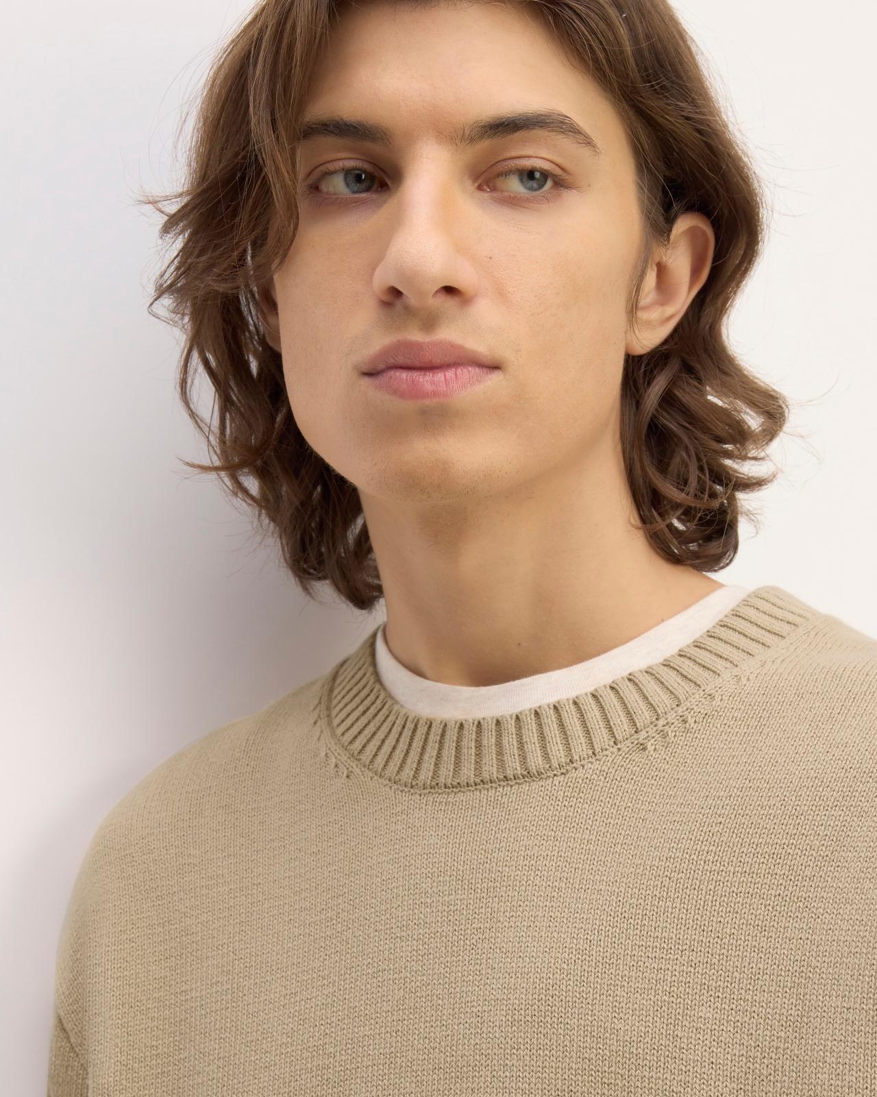 Mens Classic Sweater in Everyday Cotton by Everlane Product Image