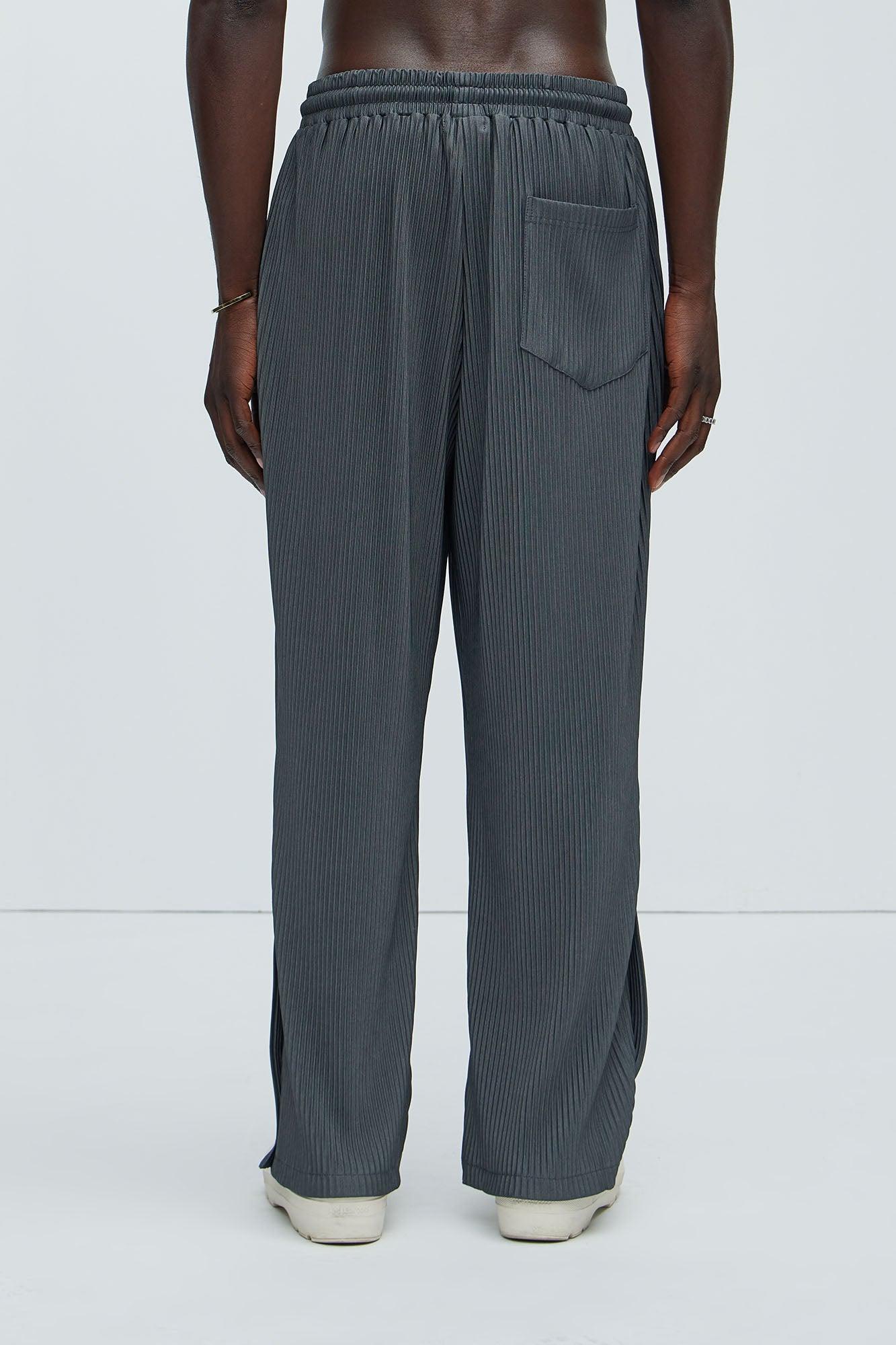 Potential Straight Pleated Pants - Grey Product Image