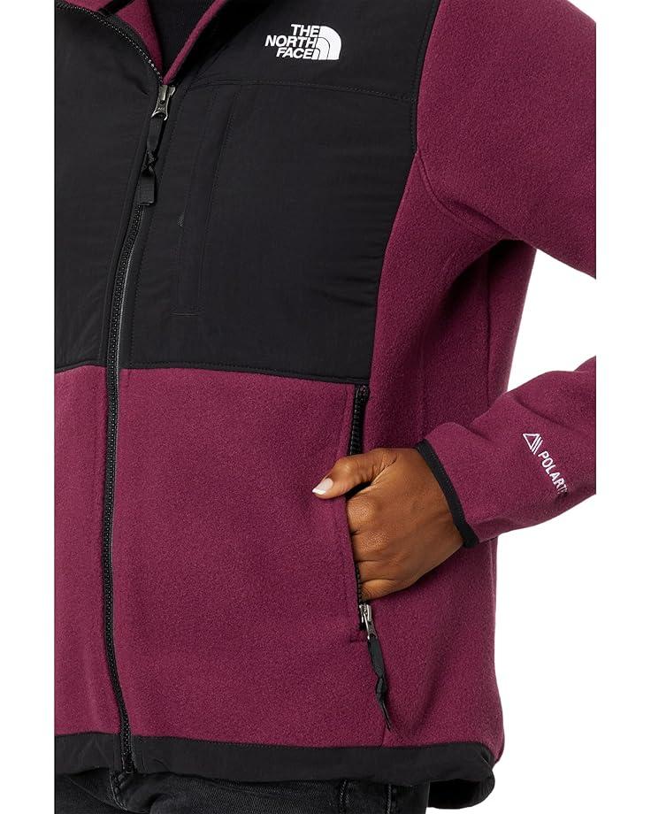 Retro Denali Hoodie Product Image