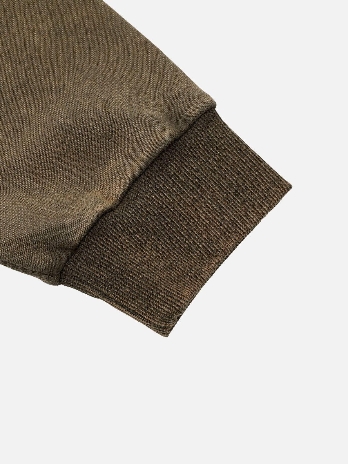 Aelfric Eden Embroidery Washed Pullover Hoodie Product Image