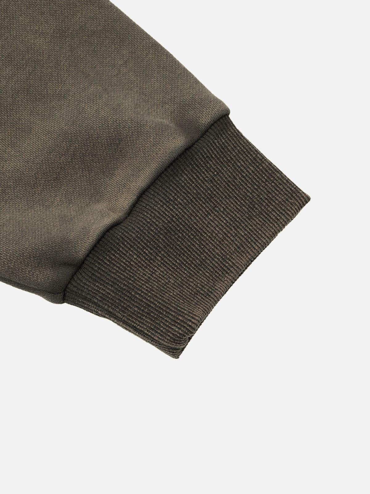 Aelfric Eden Embroidery Washed Pullover Hoodie Product Image