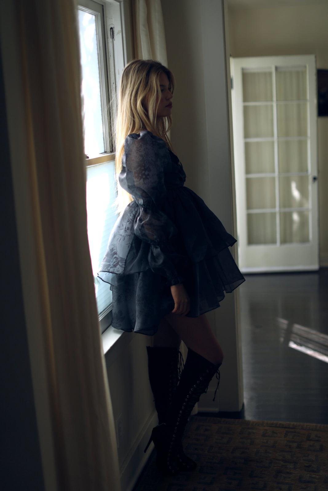 The Blackberry Moonlight Dress Product Image