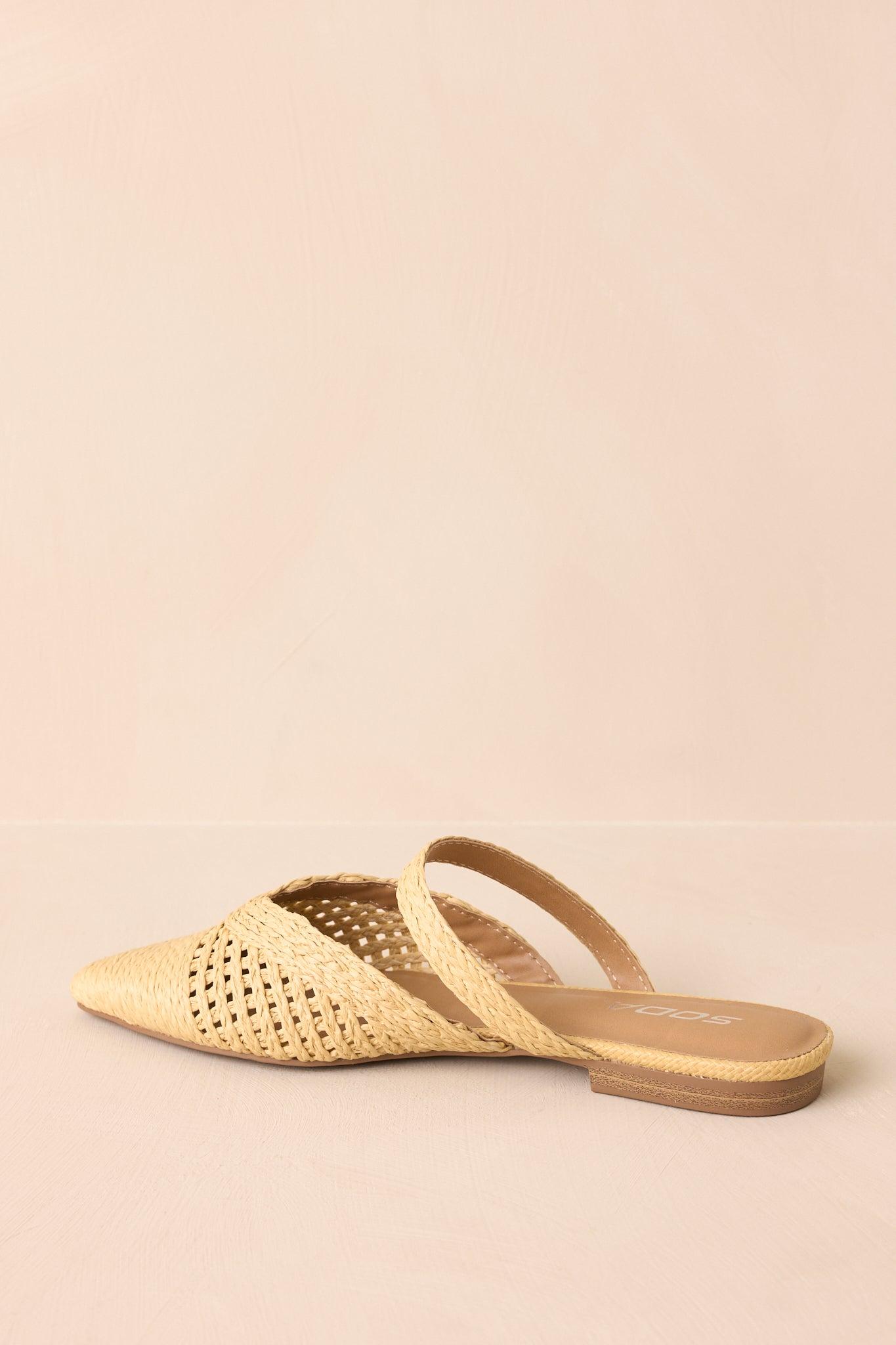 There She Goes Natural Pointed-Toe Woven Raffia Mules Product Image