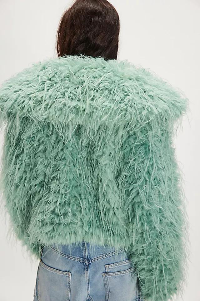 Moonlight Faux Fur Jacket Product Image