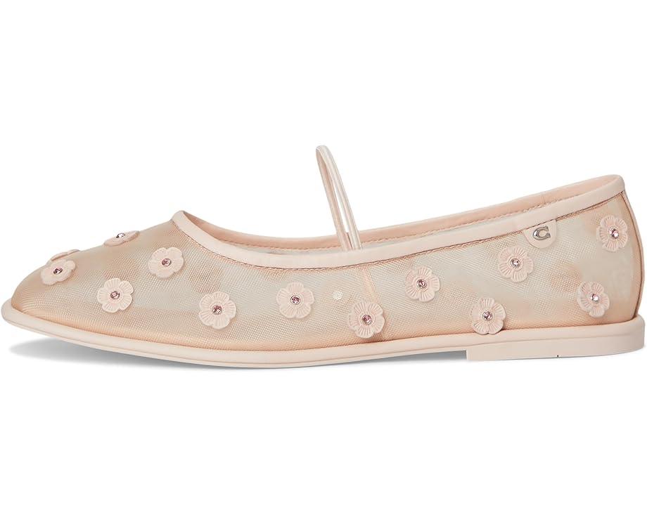 MSRP: $175(40% OFF) Product Image