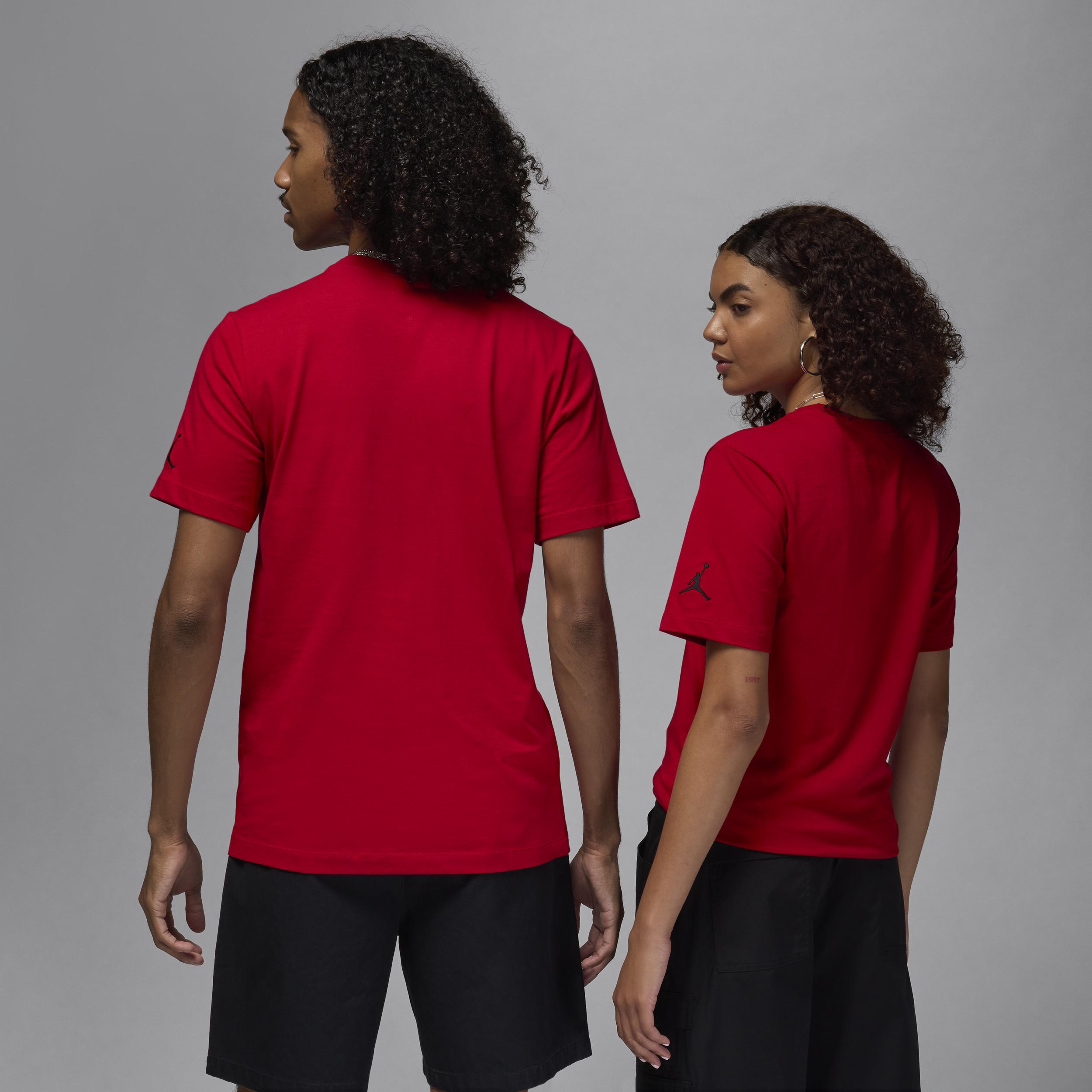 Mens Jordan Air T-Shirt | DM3182-689 Product Image