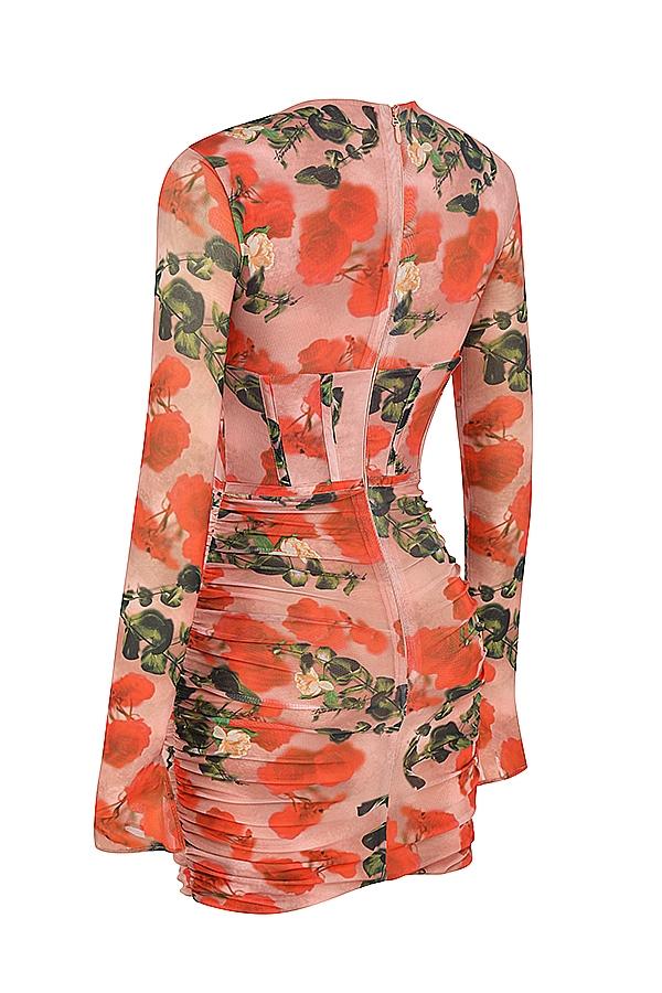 Adanna  rose print corset mini dress Product Image