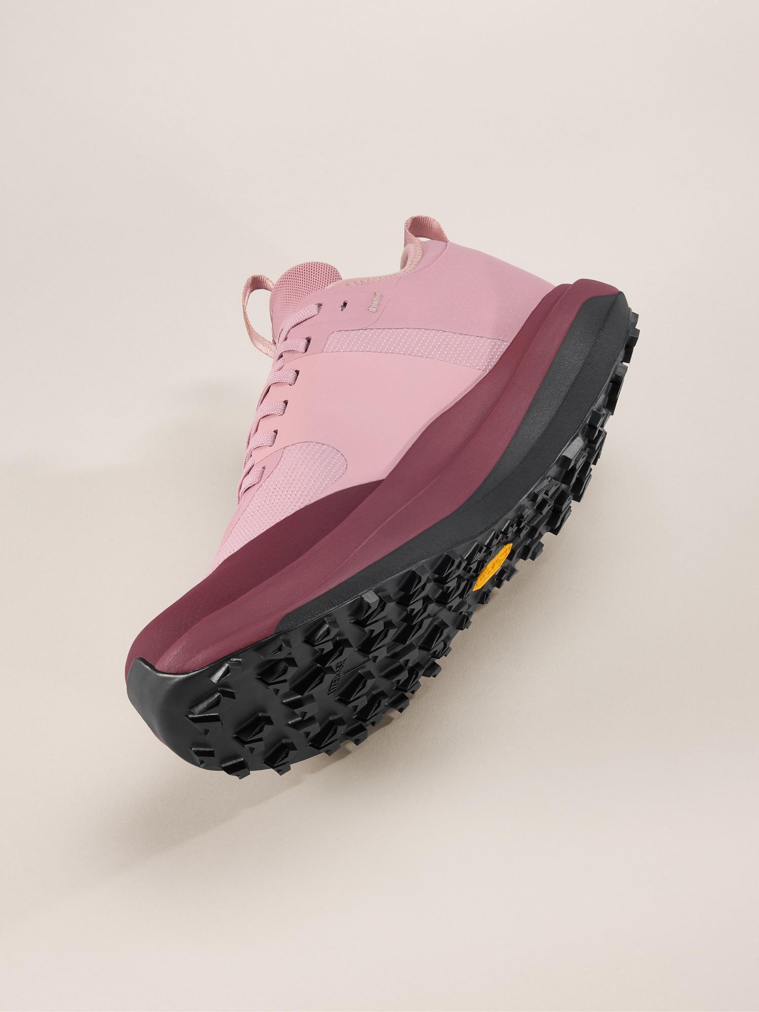 Sylan GTX Shoe Women's Product Image