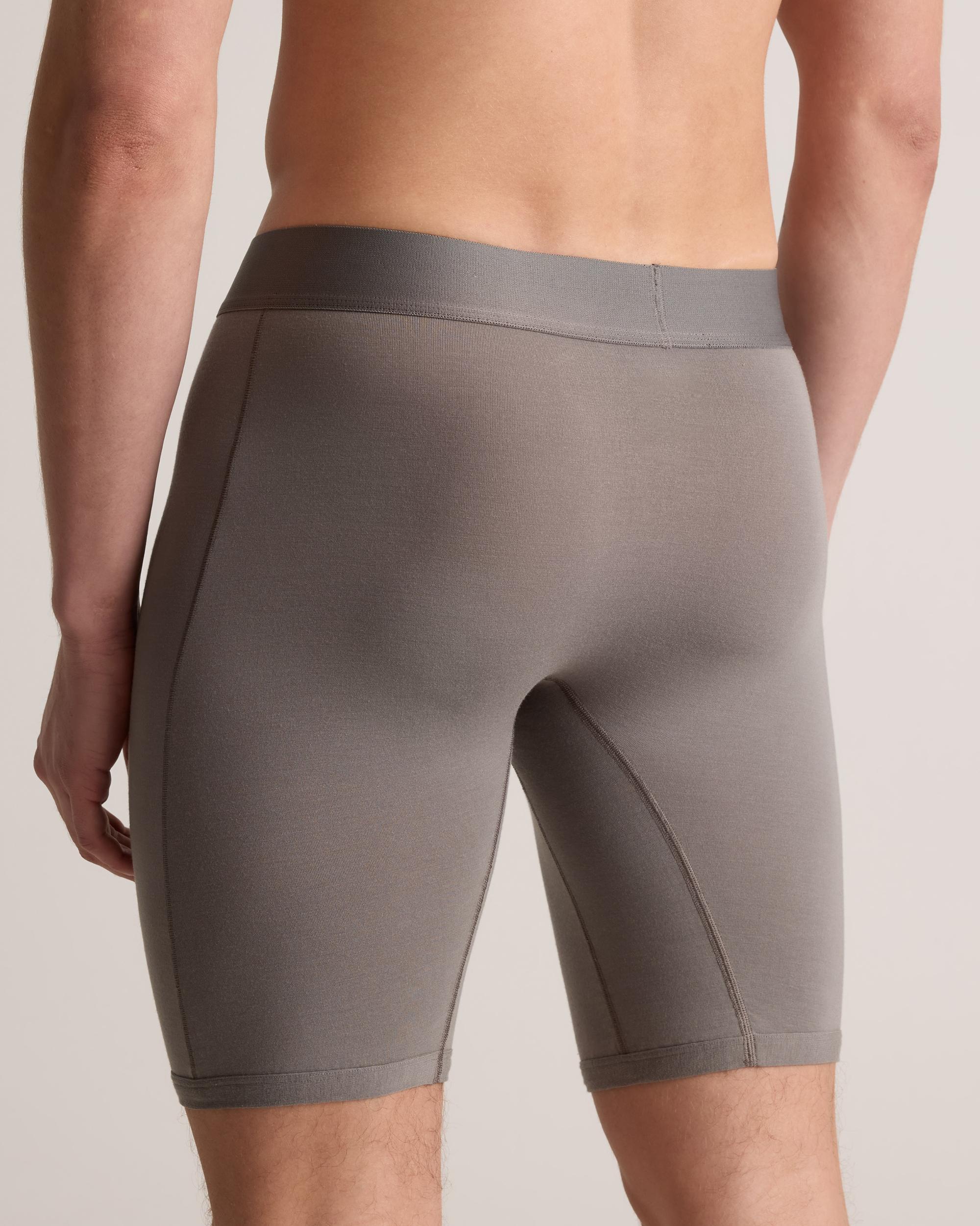 Quince | Men's Micromodal 8" Boxer Brief Product Image