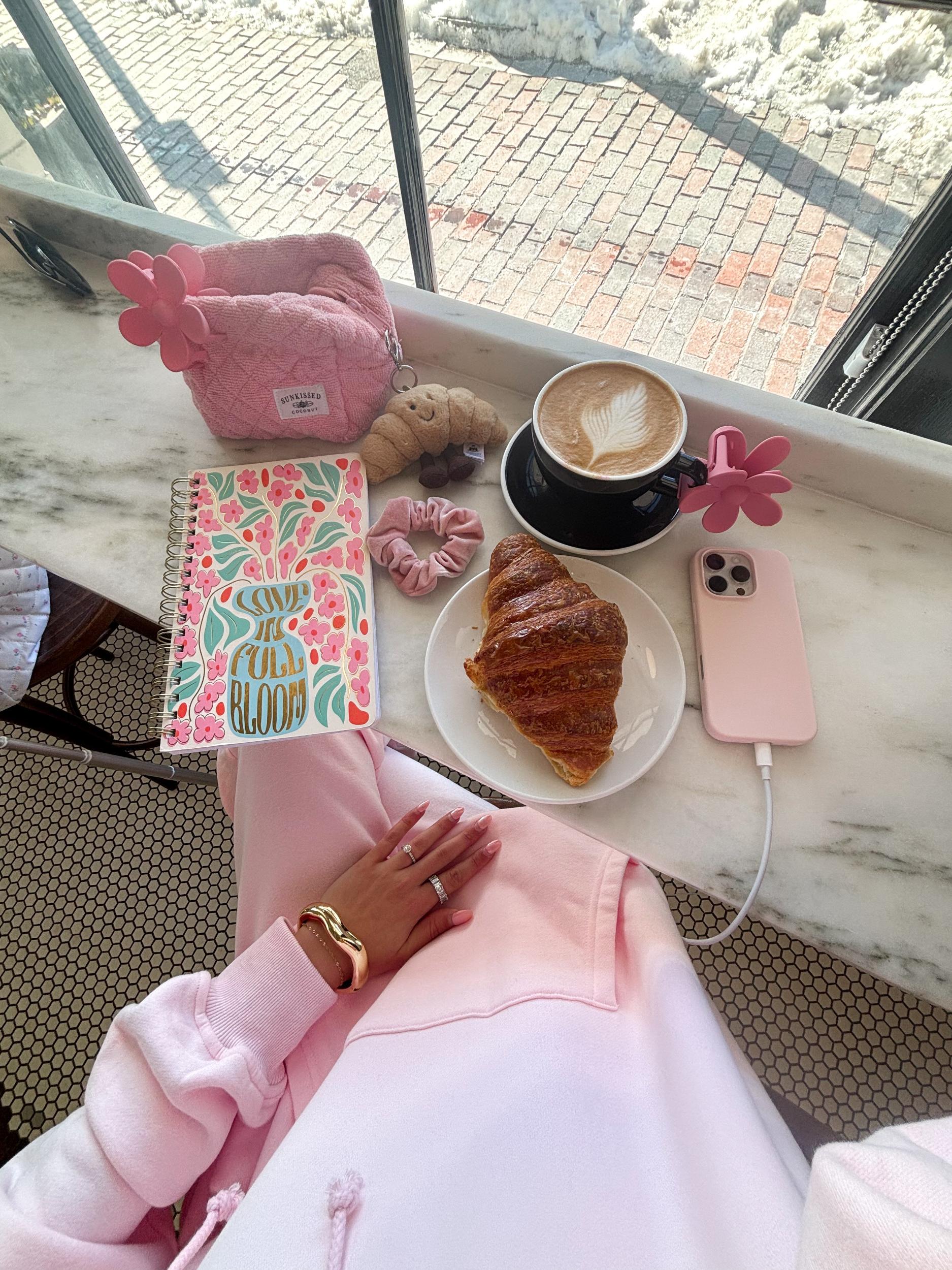 Light Pink Sunkissedcoconut Embroider Hoodie Product Image