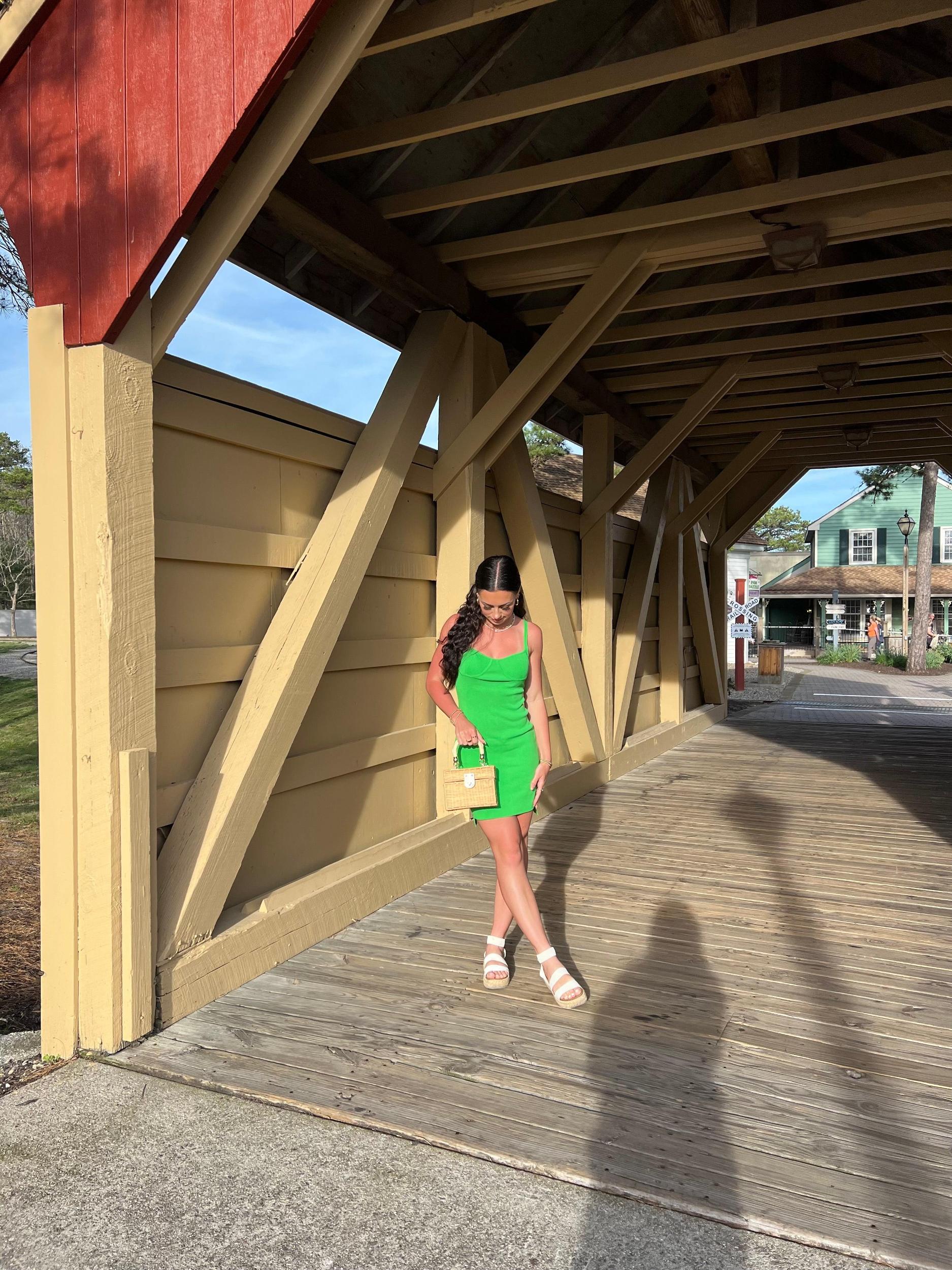 Essa Bodycon Mini Dress | FINAL SALE Product Image