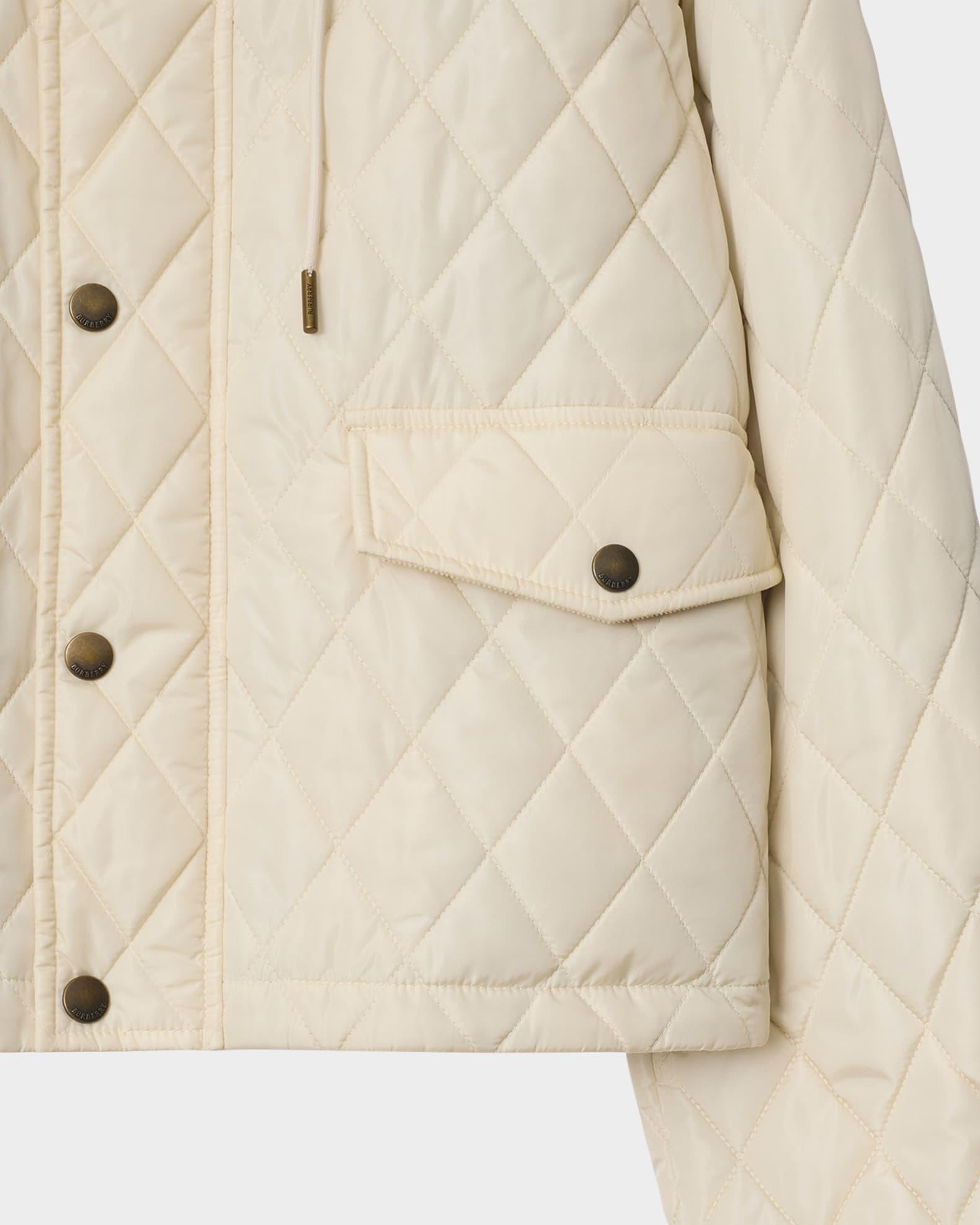 Pembroke Quilted Hooded Parka Product Image
