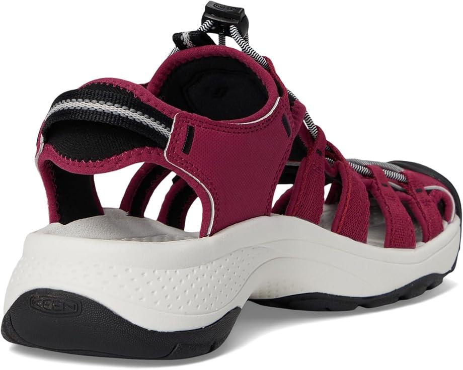 Newport H2 Product Image