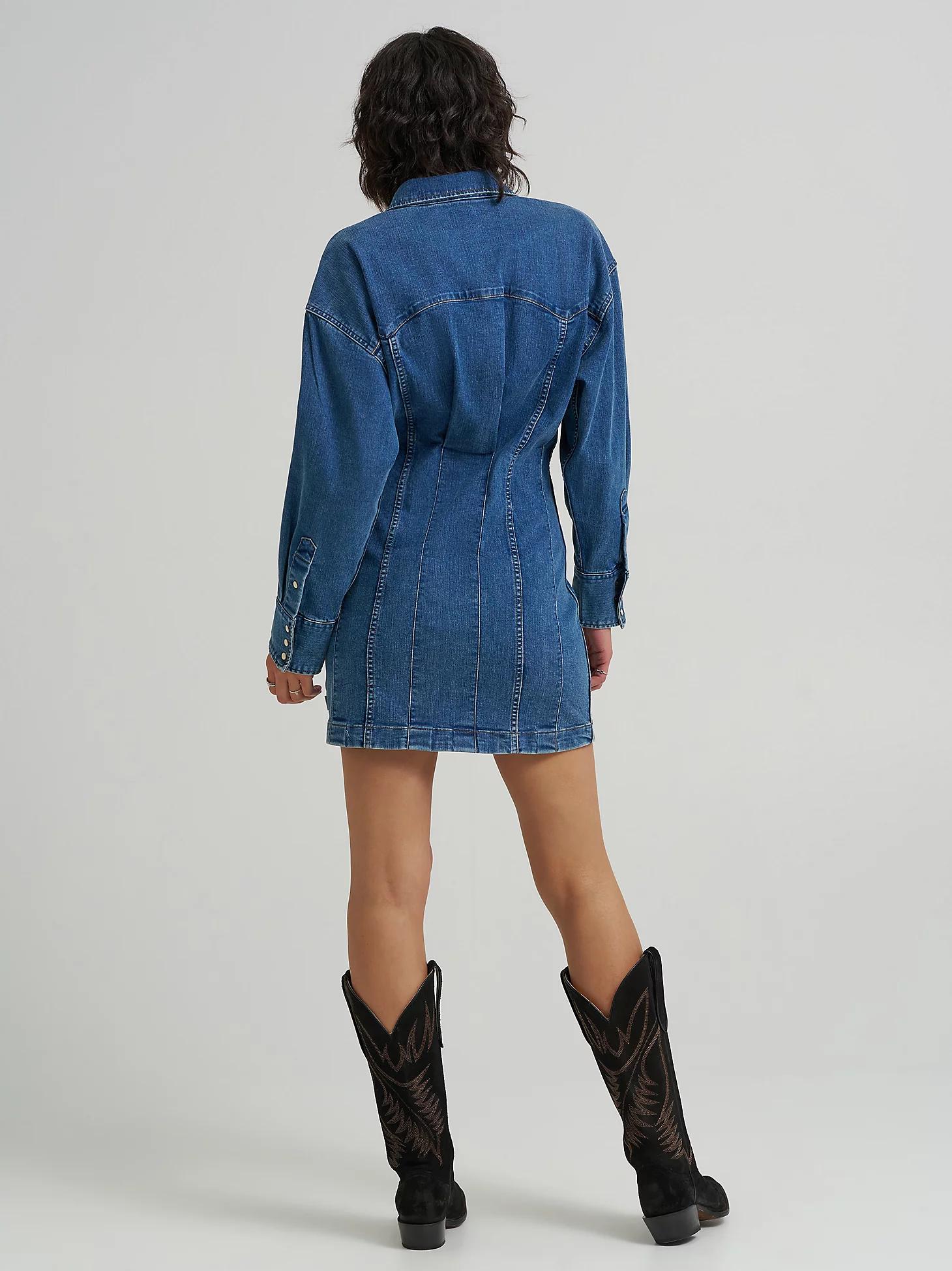 Women's Darted Skirt Dress in Sapphire Trace Product Image