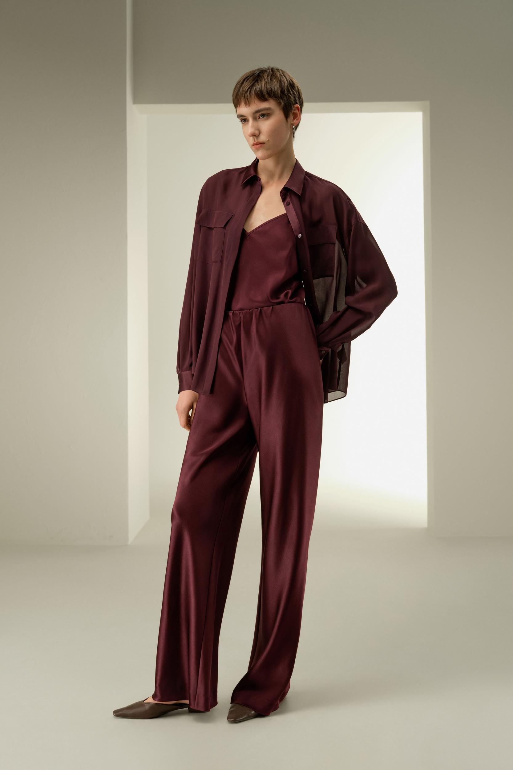 Semi-Sheer Silk Chiffon Blouse Product Image