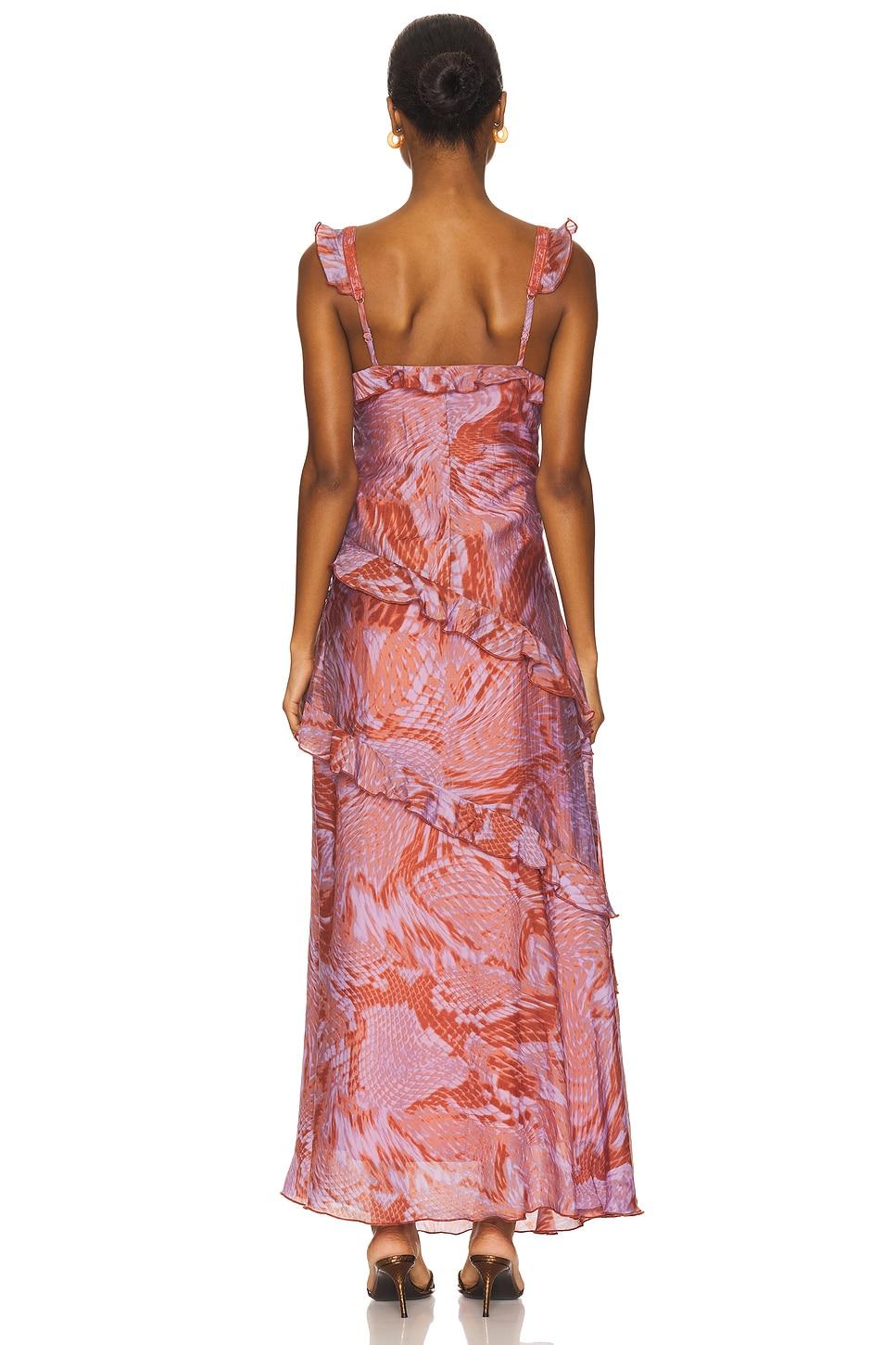 Versailles Dress Steve Madden Product Image