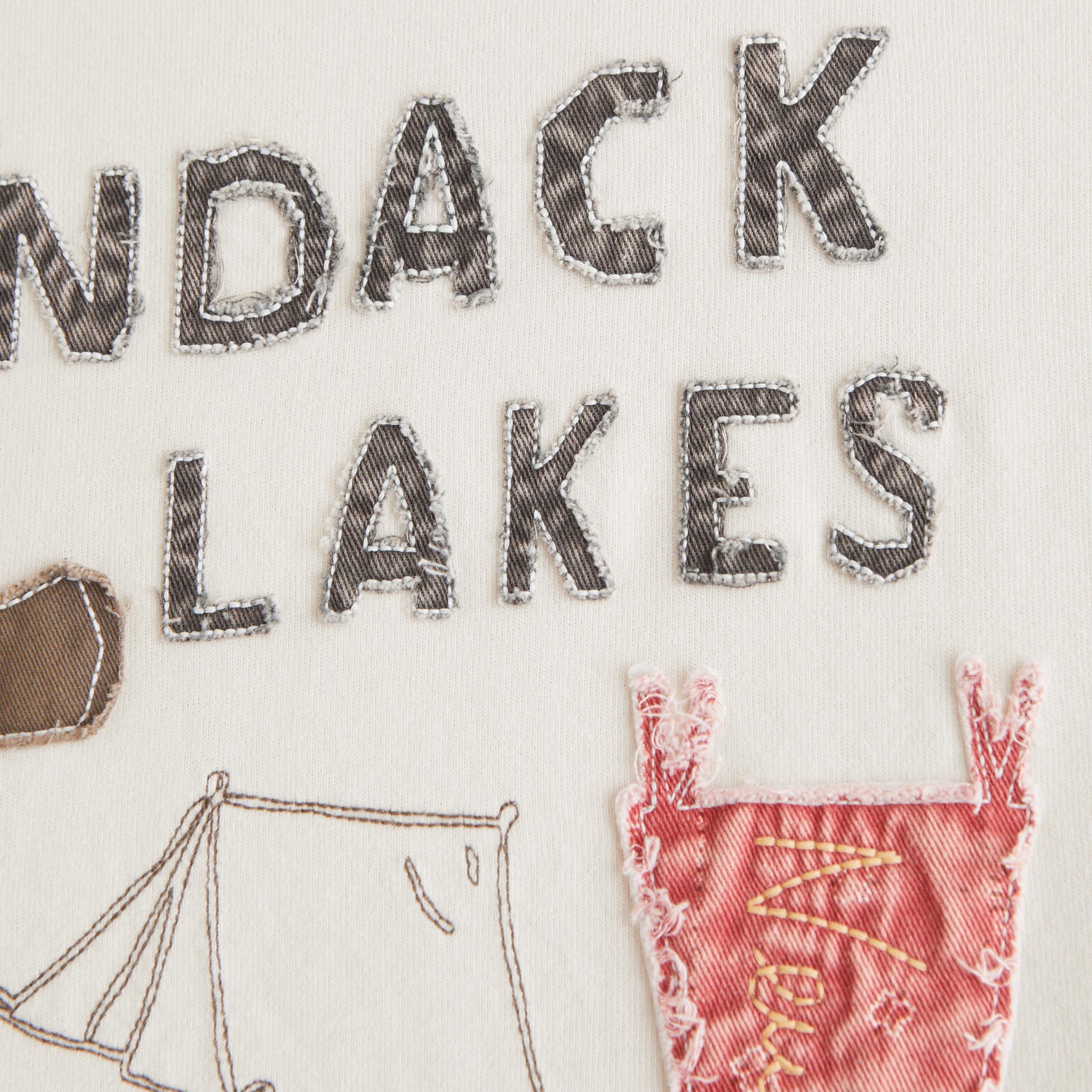 Premium Heavyweight 2.0 Adirondack Graphic Tee Product Image