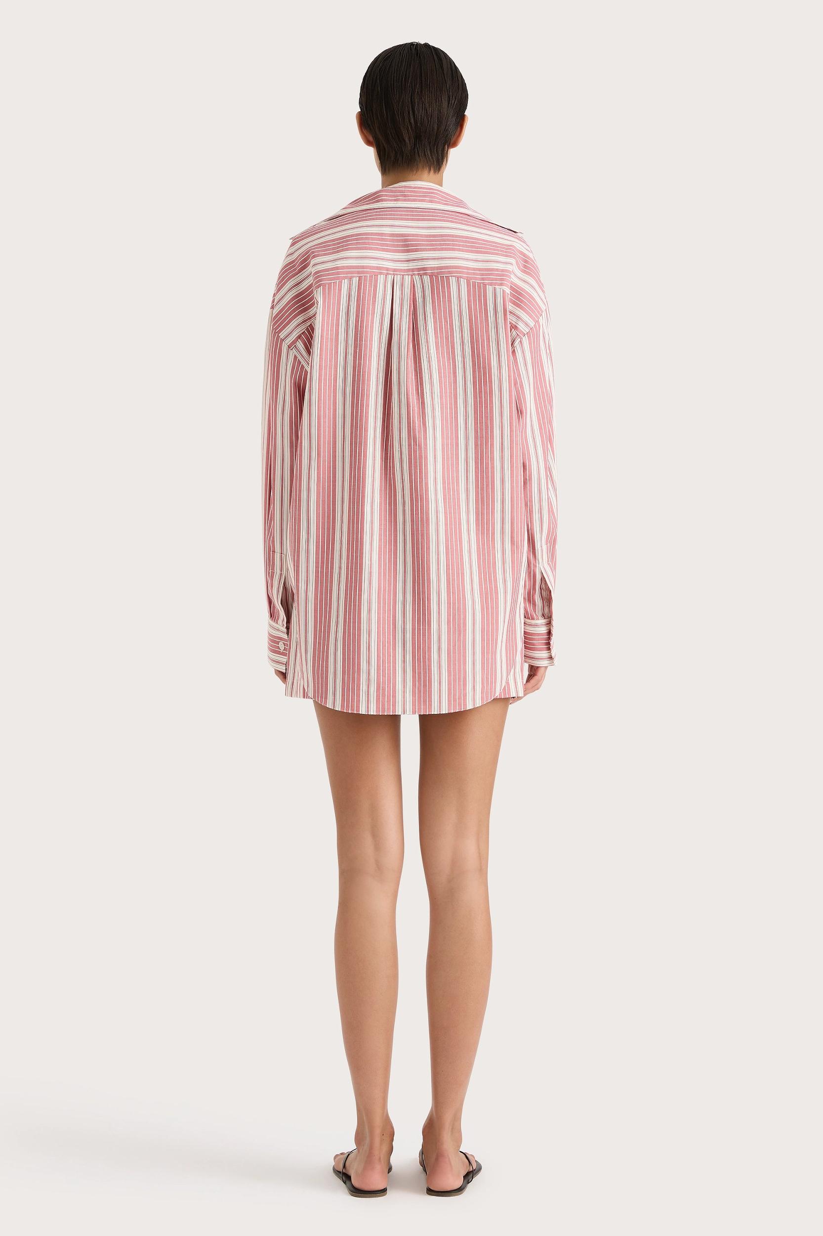 Reign Mini Dress Cherry Stripe - Final Sale Product Image