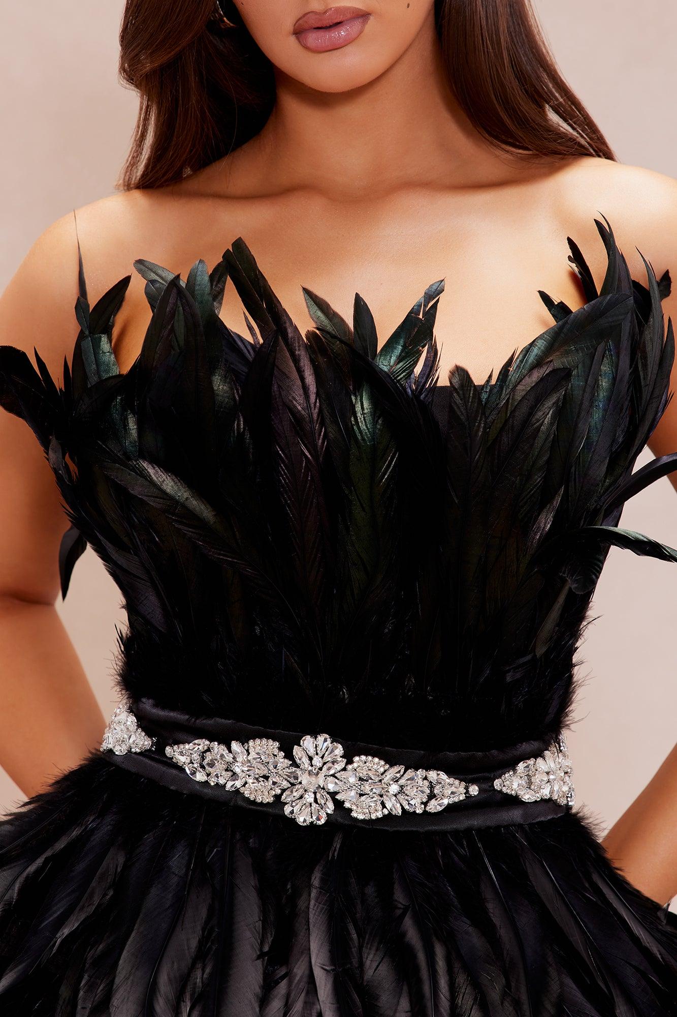 Katia Feather Mini Dress - Black Product Image