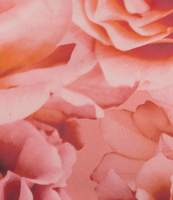 AFRM Plus Size Tegan Floral Print Mesh Coordinating Maxi Skirt Product Image