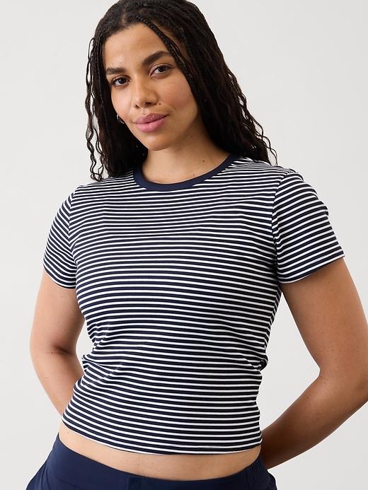Signature Rib Crop Tee Product Image