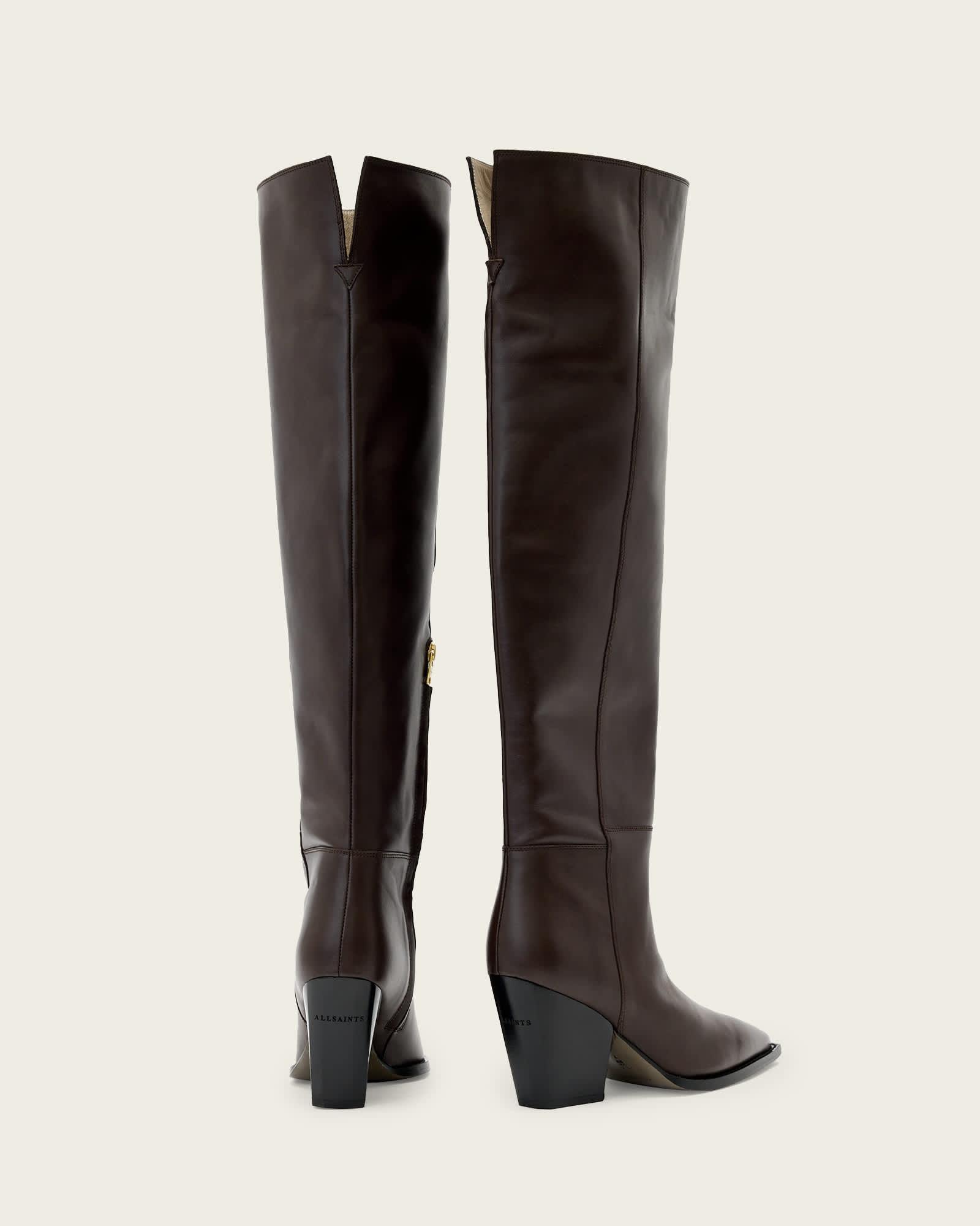 Reina Leather Zip Boots Brown | ALLSAINTS US Product Image