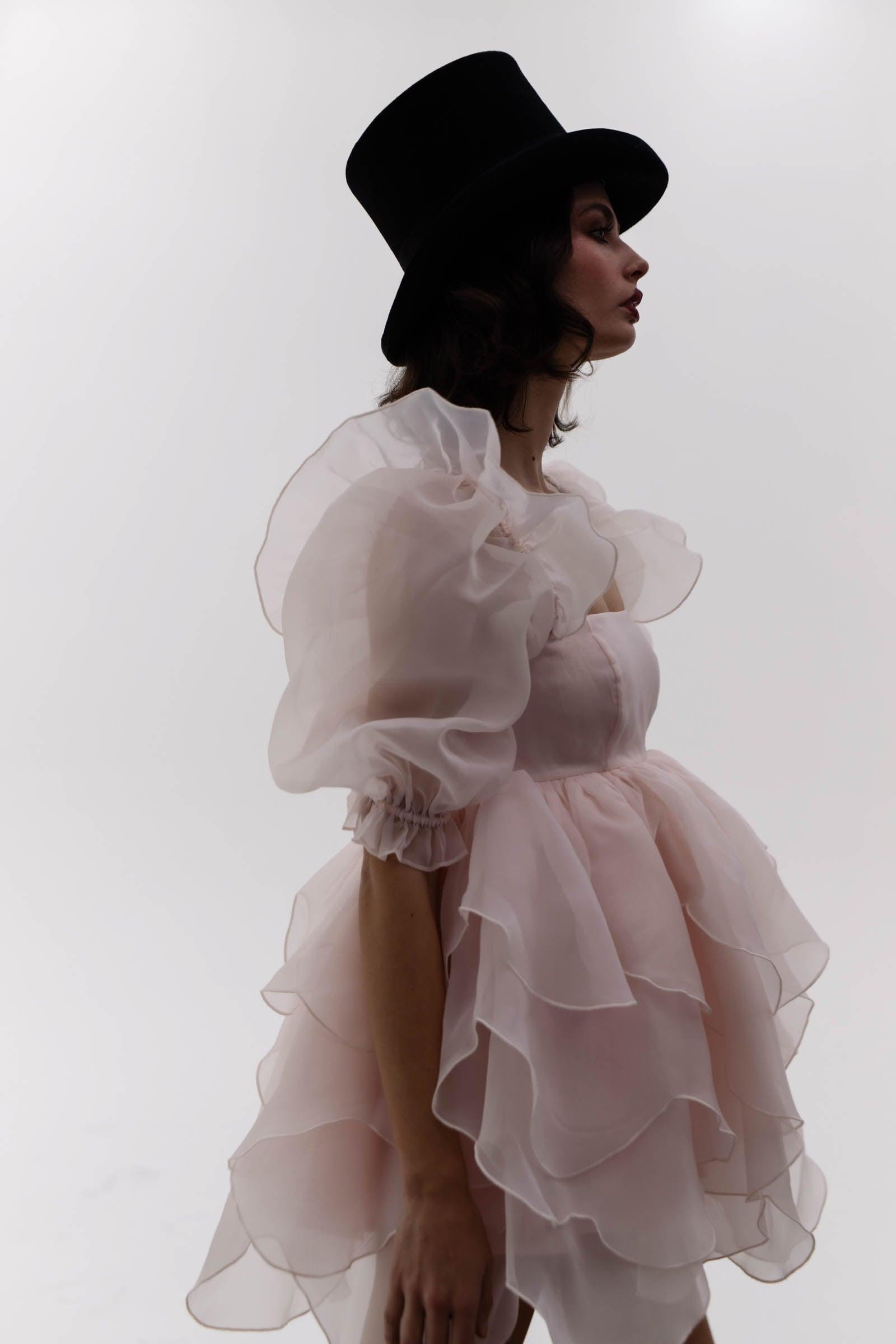 The Peach Skin Rose Petal Puff Dress Product Image