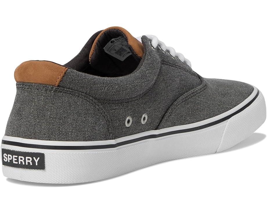 CVO Canvas Product Image