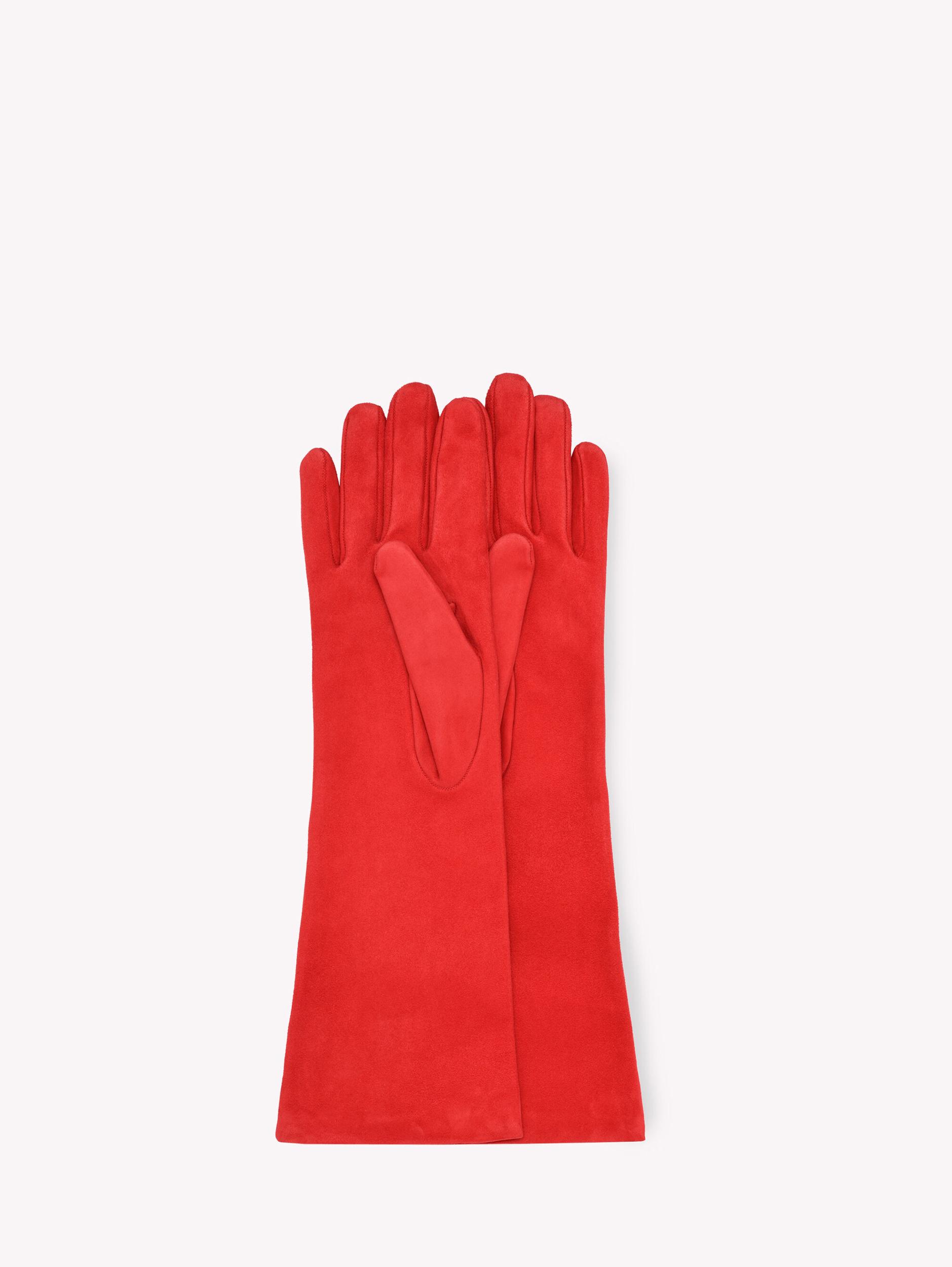 LONG GLOVE Gianvito Rossi Product Image