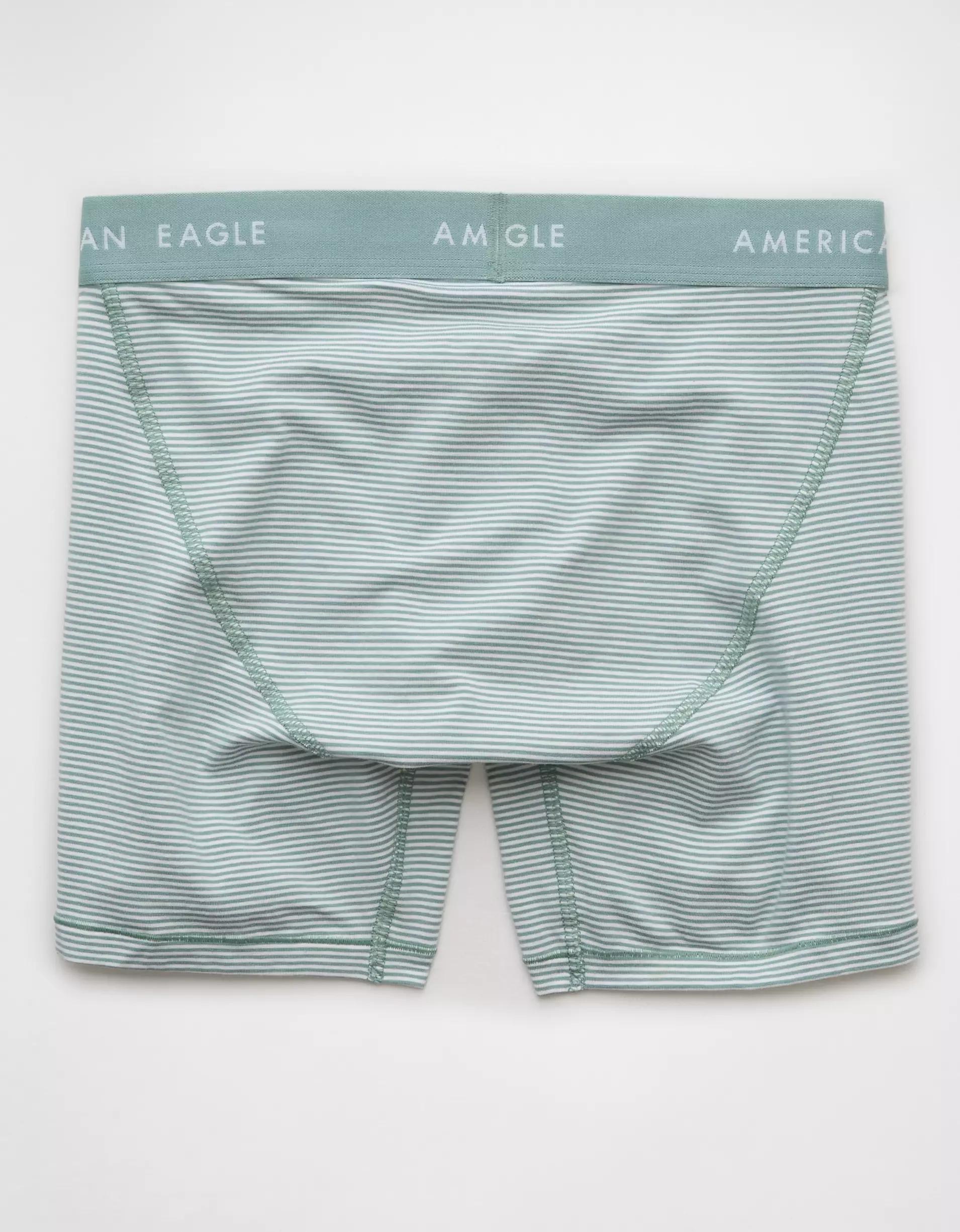 AEO Men's Striped 6" Classic Boxer Brief Product Image