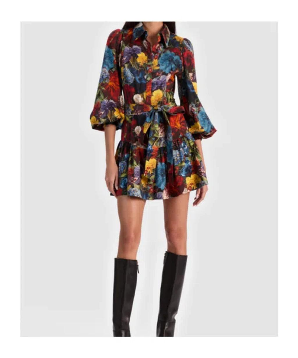ALICE AND OLIVIA Lily Mini Shirt Dress In Flourish Sm In Multi Product Image