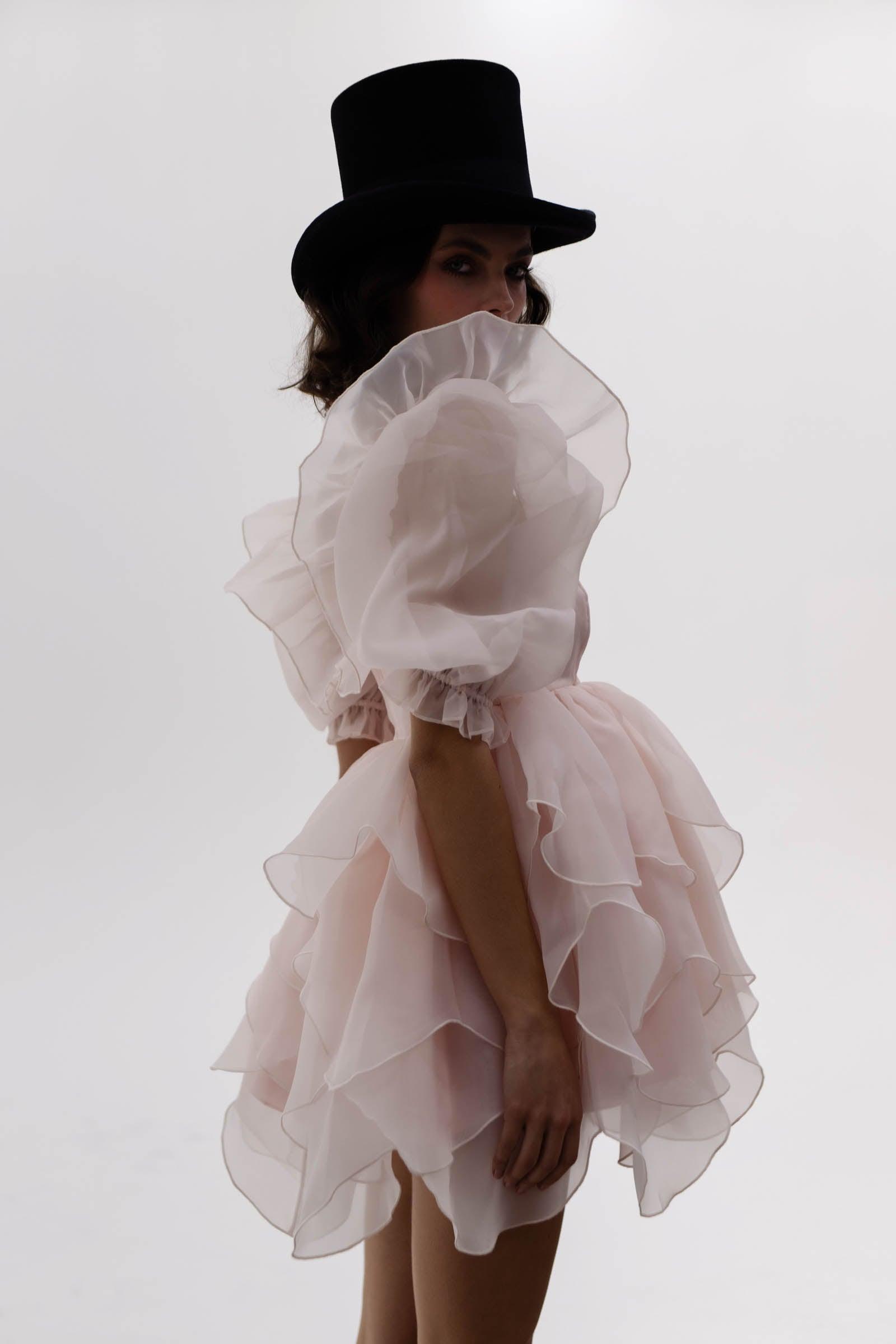 The Peach Skin Rose Petal Puff Dress Product Image