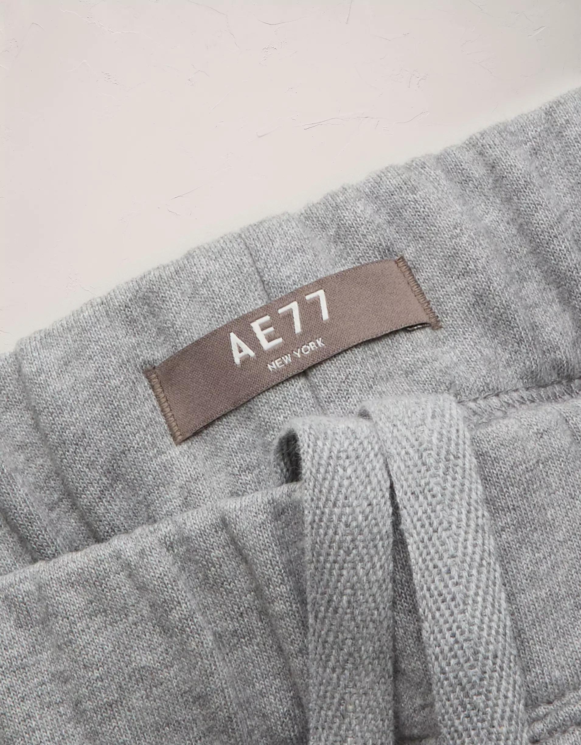 AE77 Premium Fleece Sweatpant Product Image