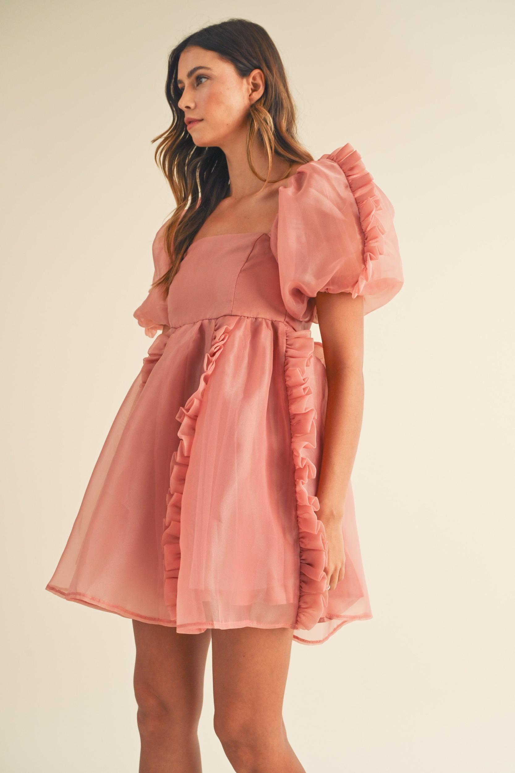 Organza Ruffle Mini Babydoll Dress Product Image