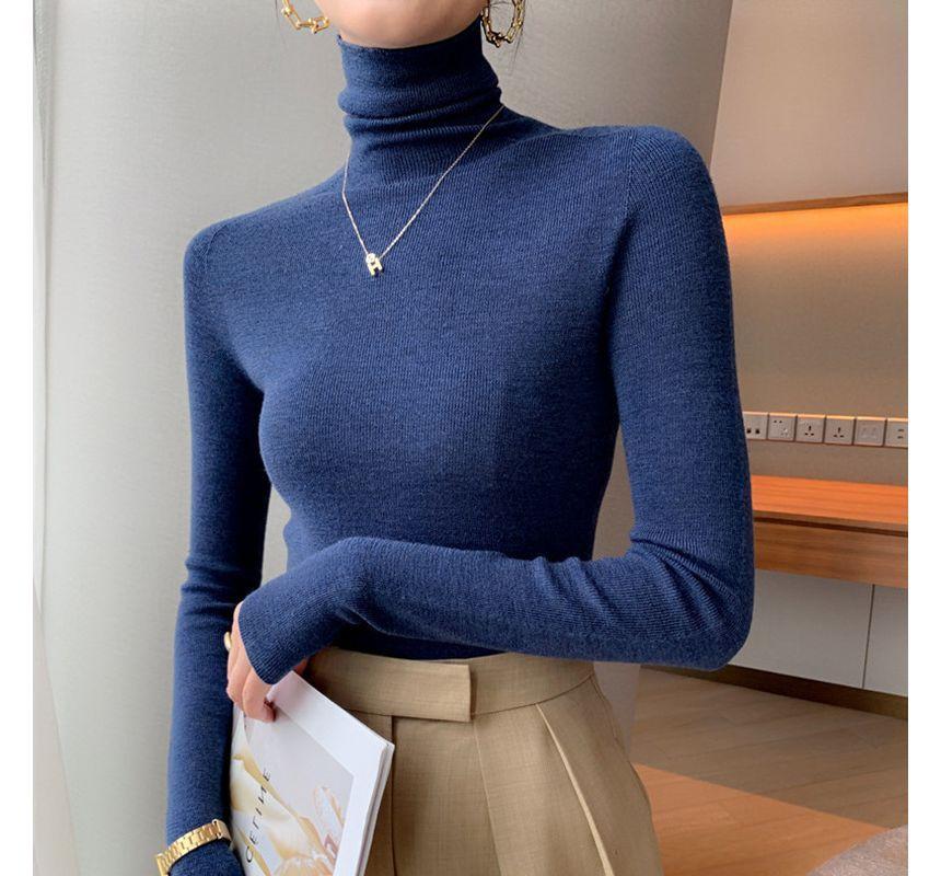 Long-Sleeve Turtleneck Plain Knit Top Product Image