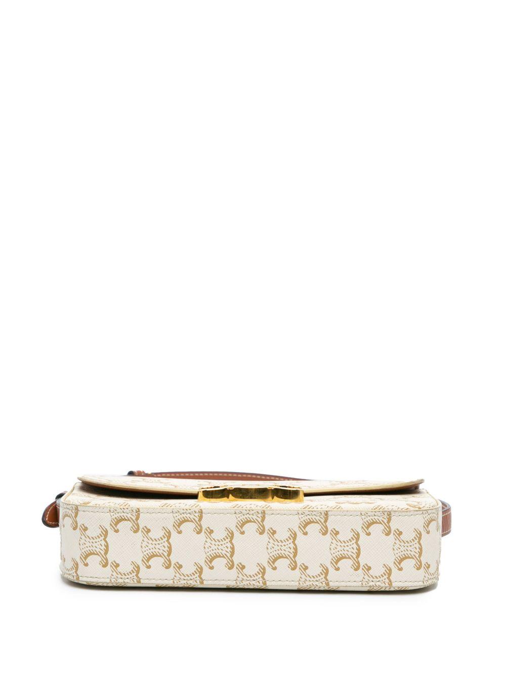 2021 Triomphe Coated Canvas Claude shoulder bag Product Image