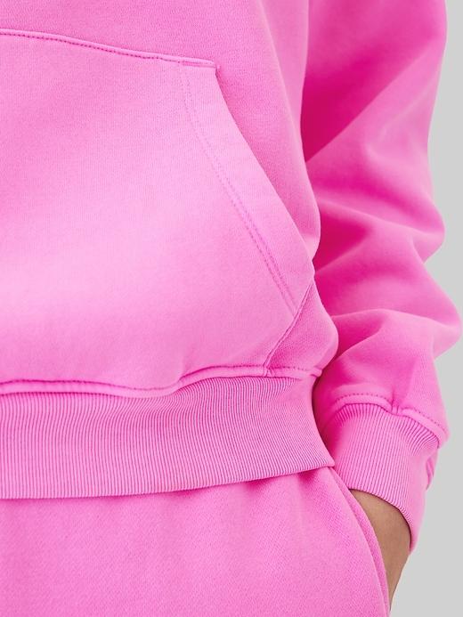 VintageSoft Hoodie Product Image