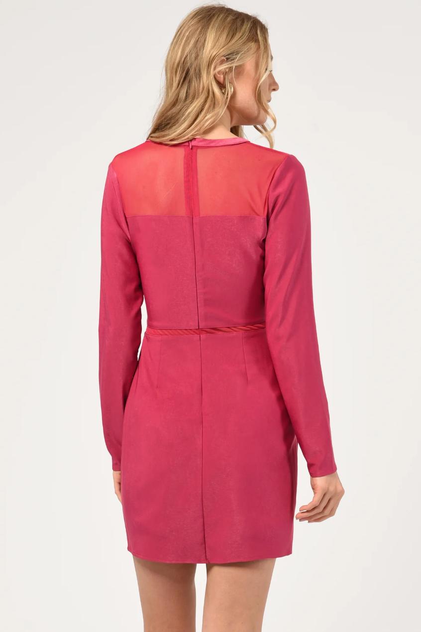 "Jadie" Mesh Det Dress Product Image