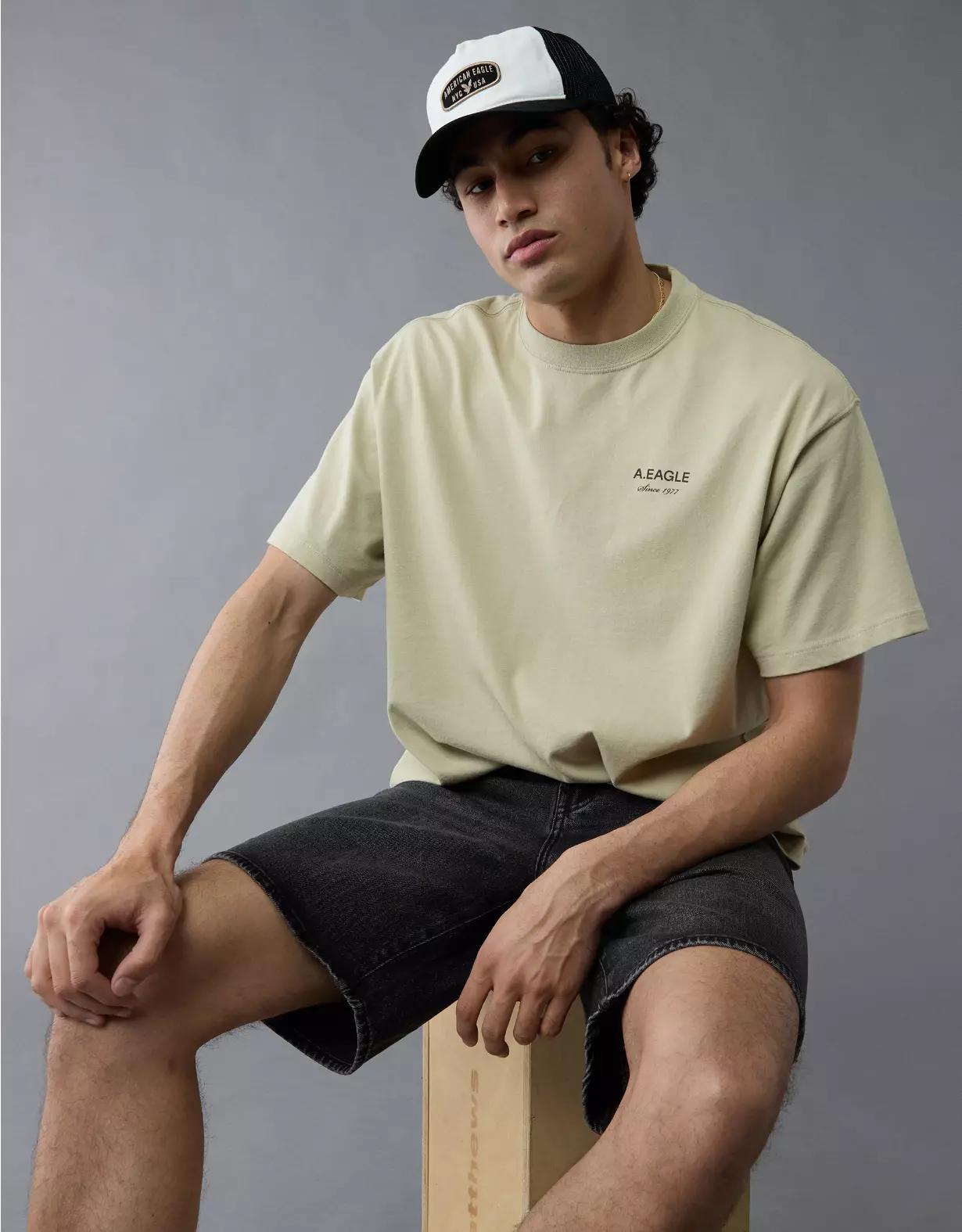 AE Boxy Logo Graphic T-Shirt Product Image